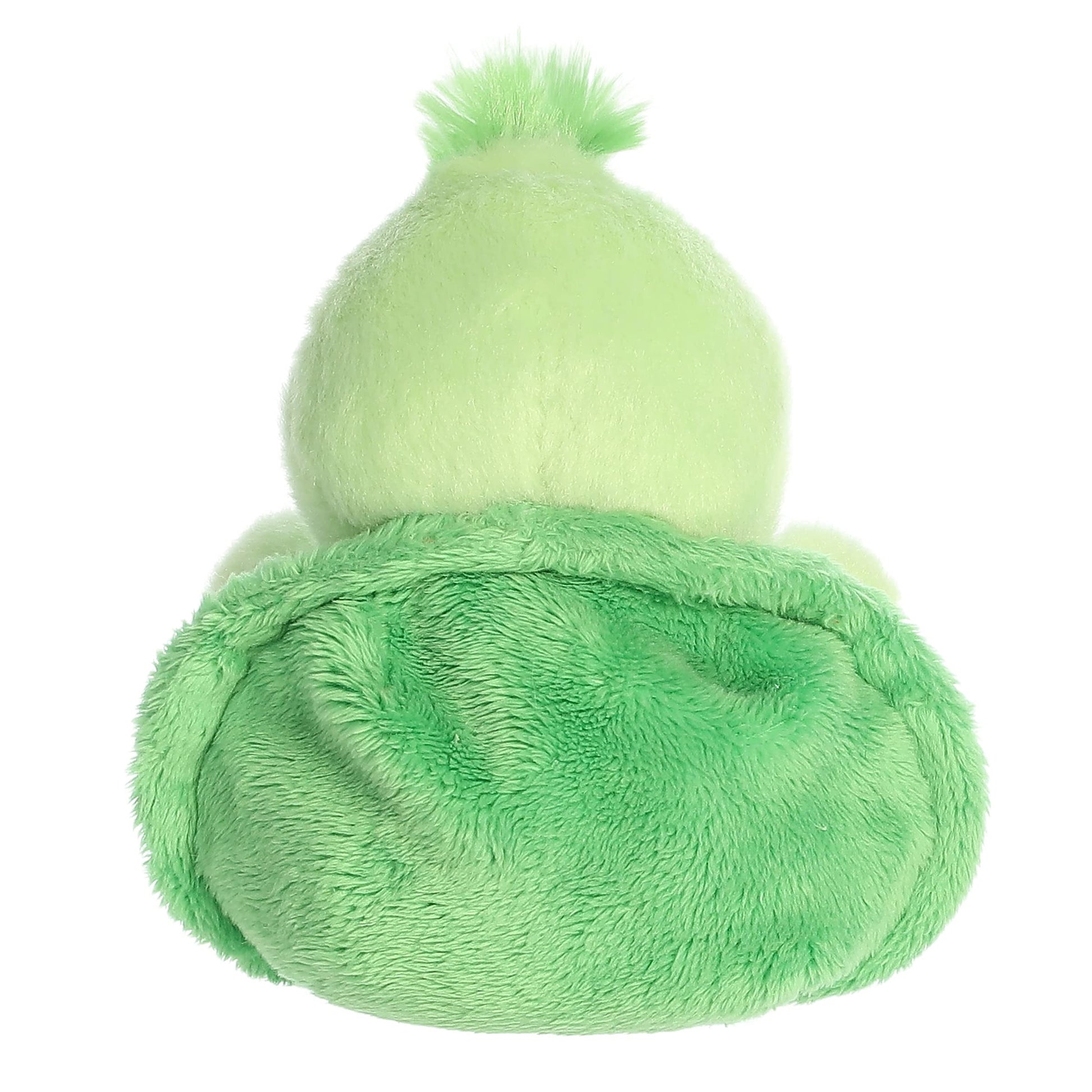 Aurora - Palm Pals - 5" Tiny Turtle