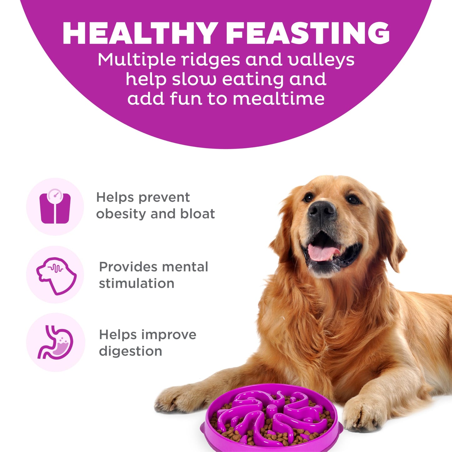 Comedero para Perros Outward Hound Púrpura Large Alimentación Lenta