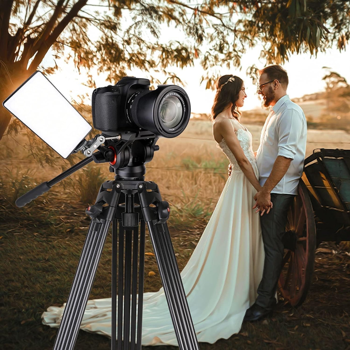 COMAN - Trípode de Video, 74 Pulgadas, Profesional, Resistente, con Placa de liberación rápida y Cabezal de Fluido de 360°, Soporte de trípode de Viaje Alto para DSLR, videocámara, Pata de Tubo Doble