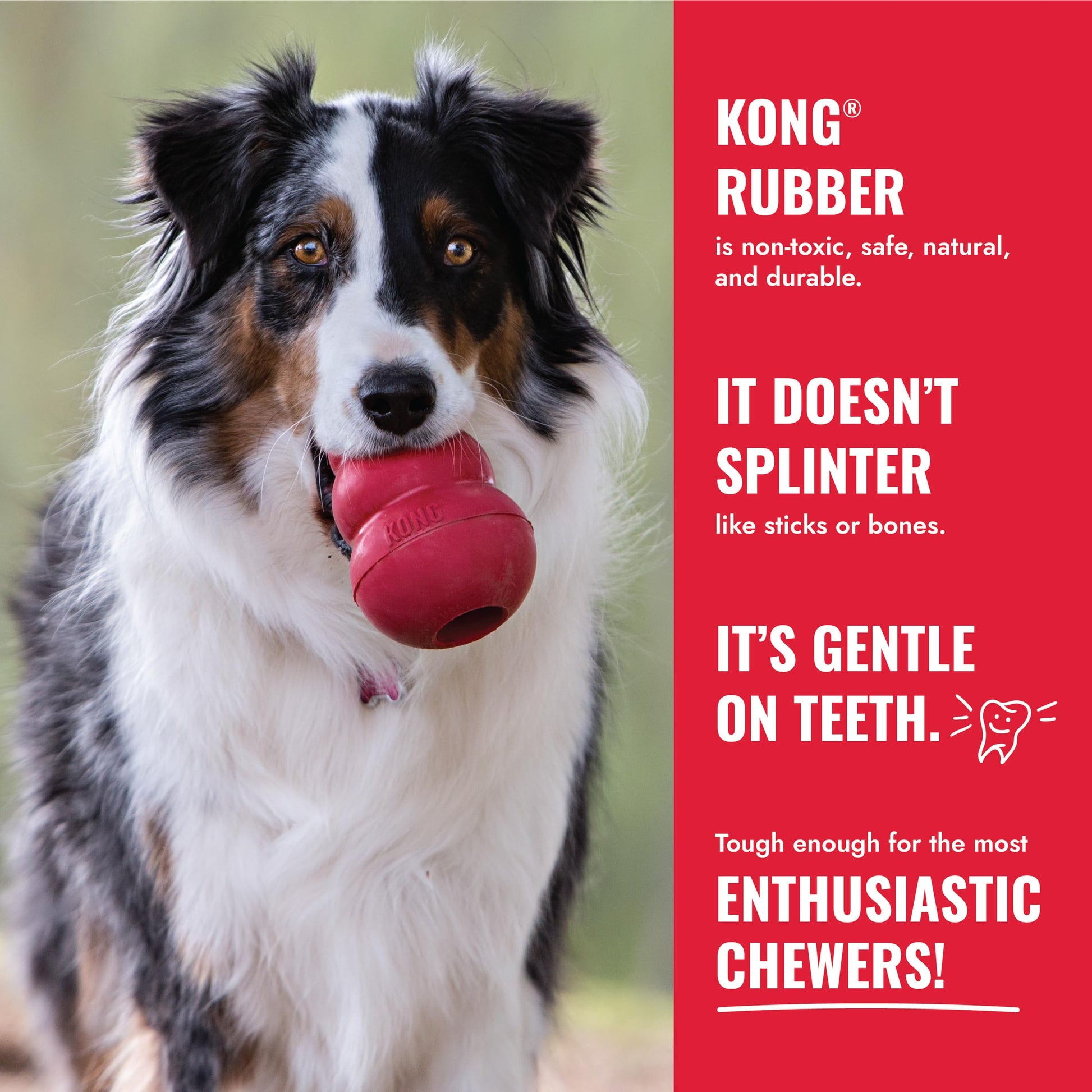 KONG Rubber Flyer, Paquete de 2 Unidades, pequeño, Rojo