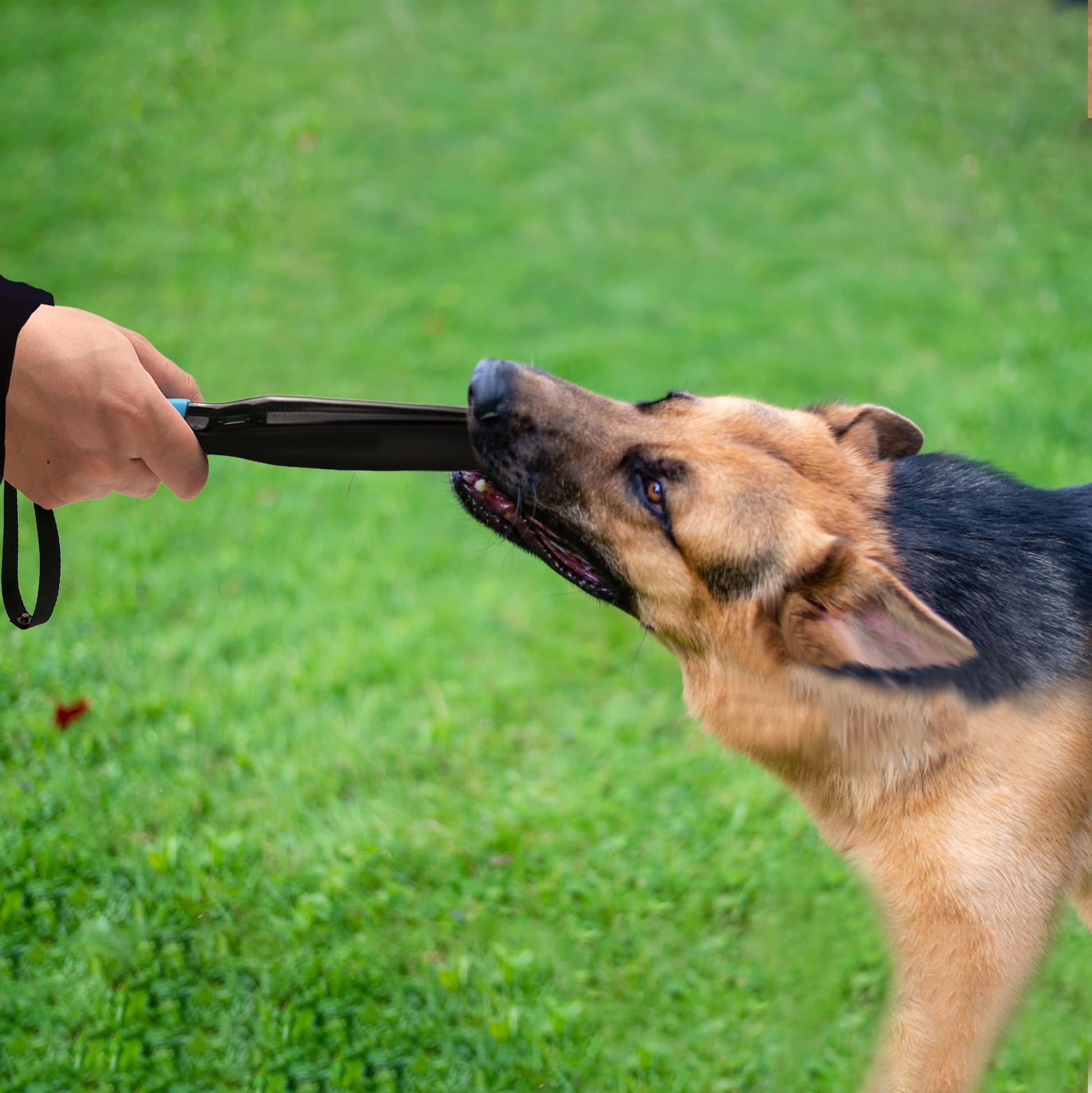 Palos Profesionales para Perros Grandes sin Mordeduras para Entrenamiento K9