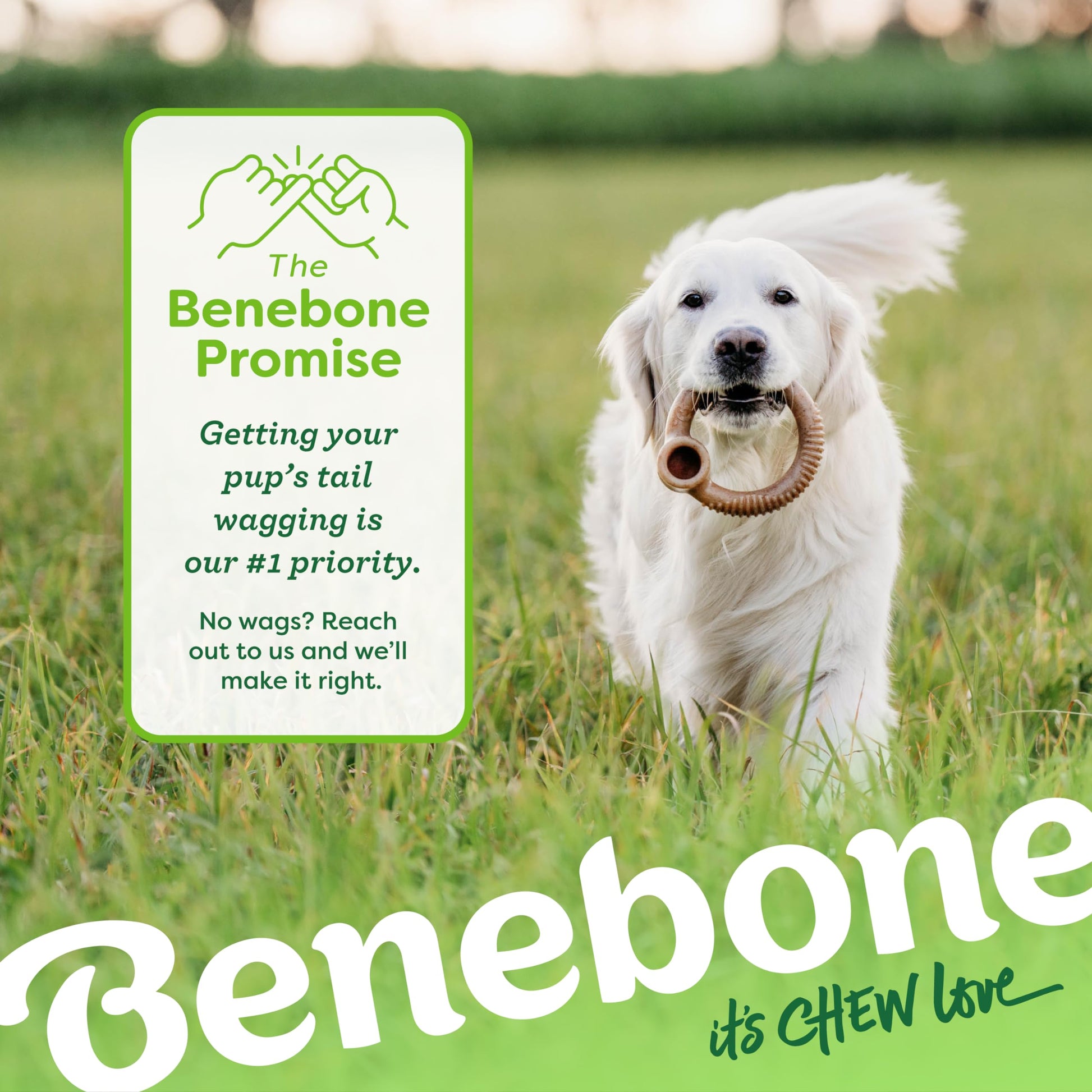 Benebone Ring - Juguete masticable Duradero para Perros masticables agresivos, Tocino Real, Fabricado en Estados Unidos, pequeño