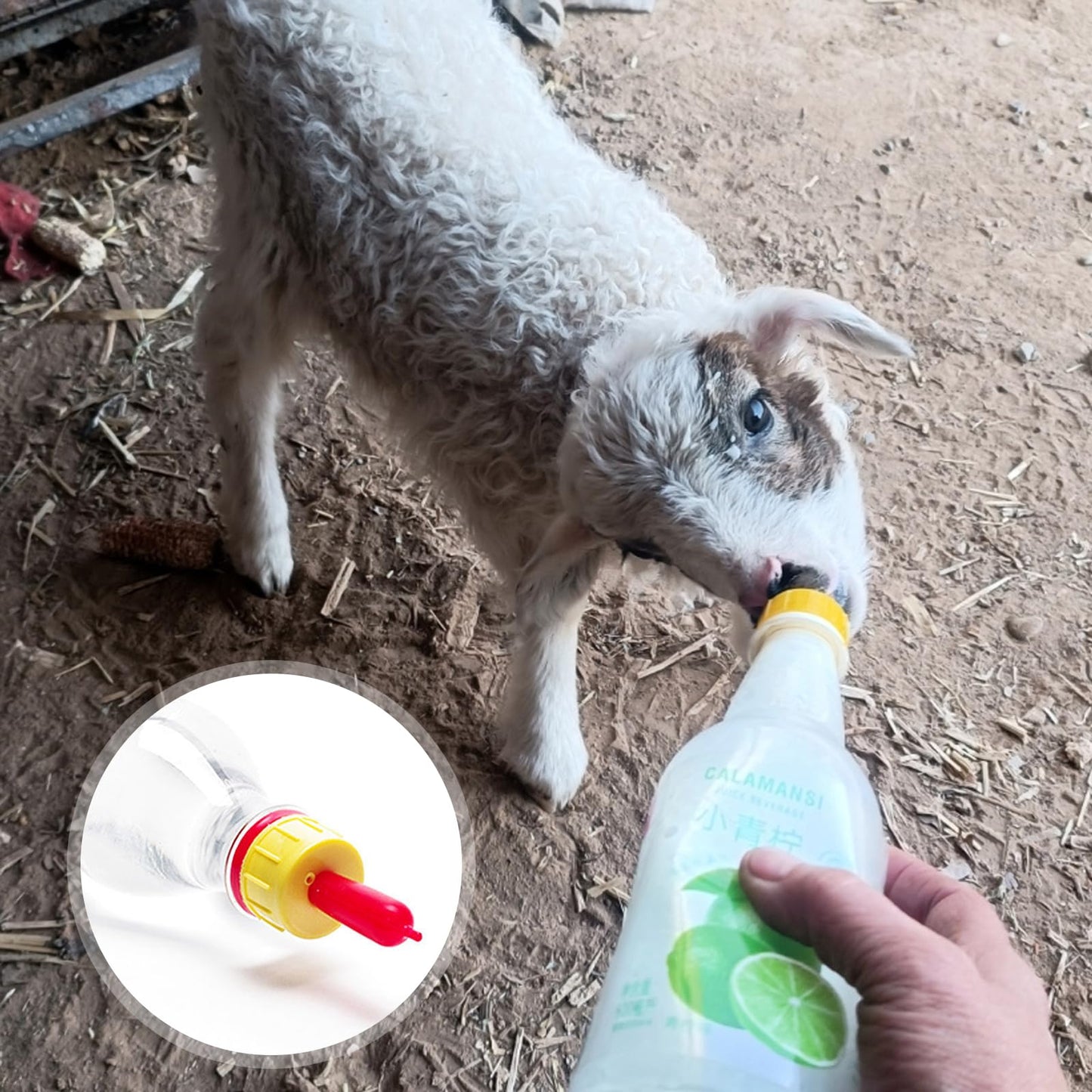 20 chupetes de goma suave para pezones de cabra para alimentar a cachorros, potro, pantorrilla, animales pequeños, atornillados, botella de coque de coque (amarillo)