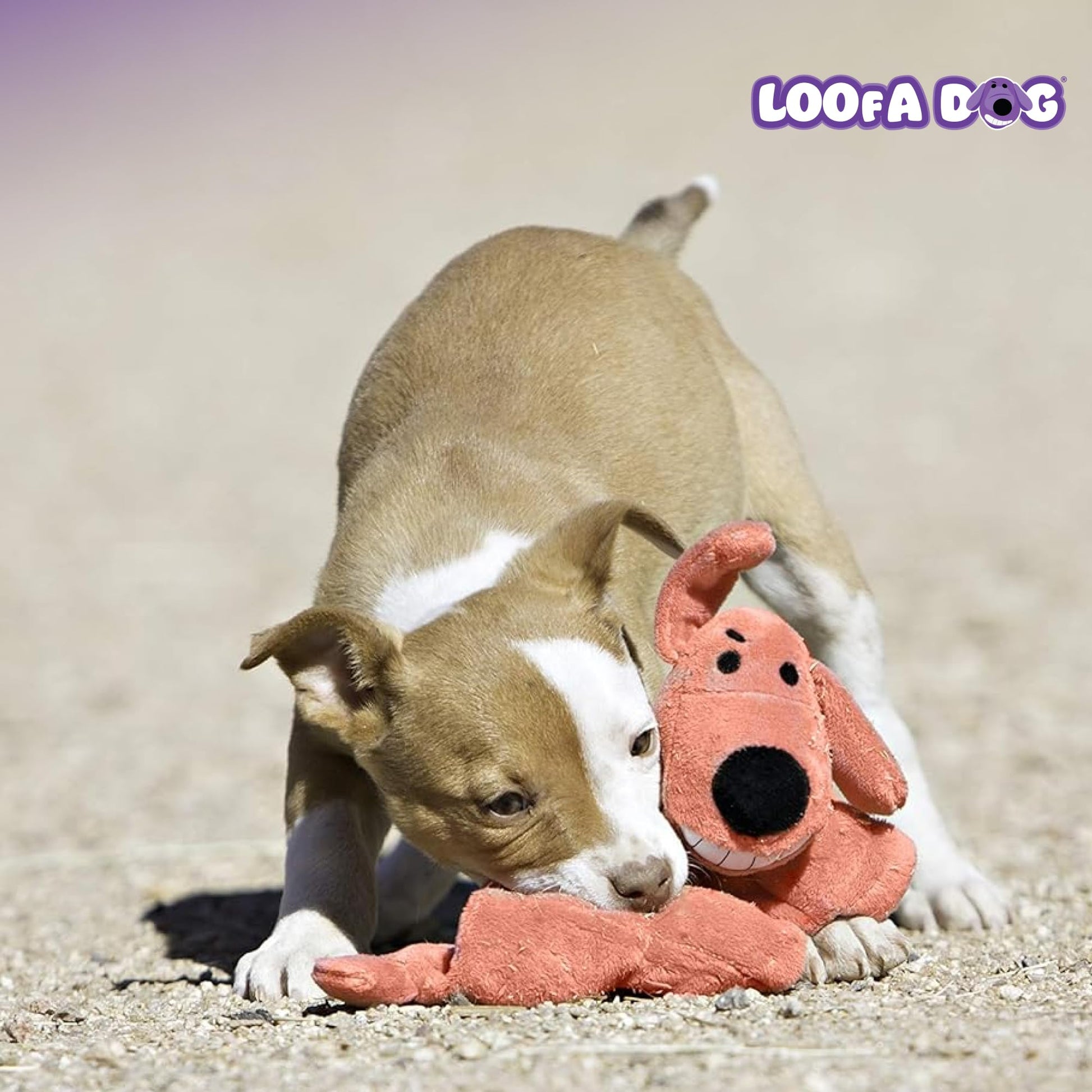 Juguete para Perro Original Loofa Jumbo de Multipet's en Varios Colores, 24 Pulgadas