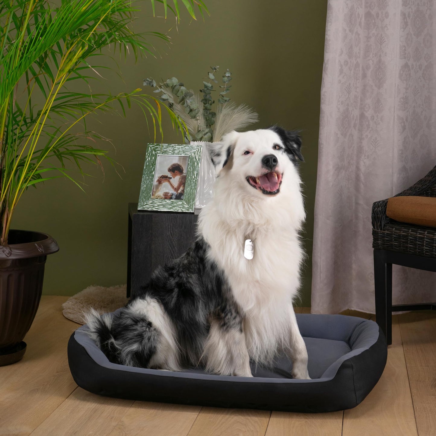 Cama para Perro PETS APPAREL HILLS Negra Gris Resistente y Confortable
