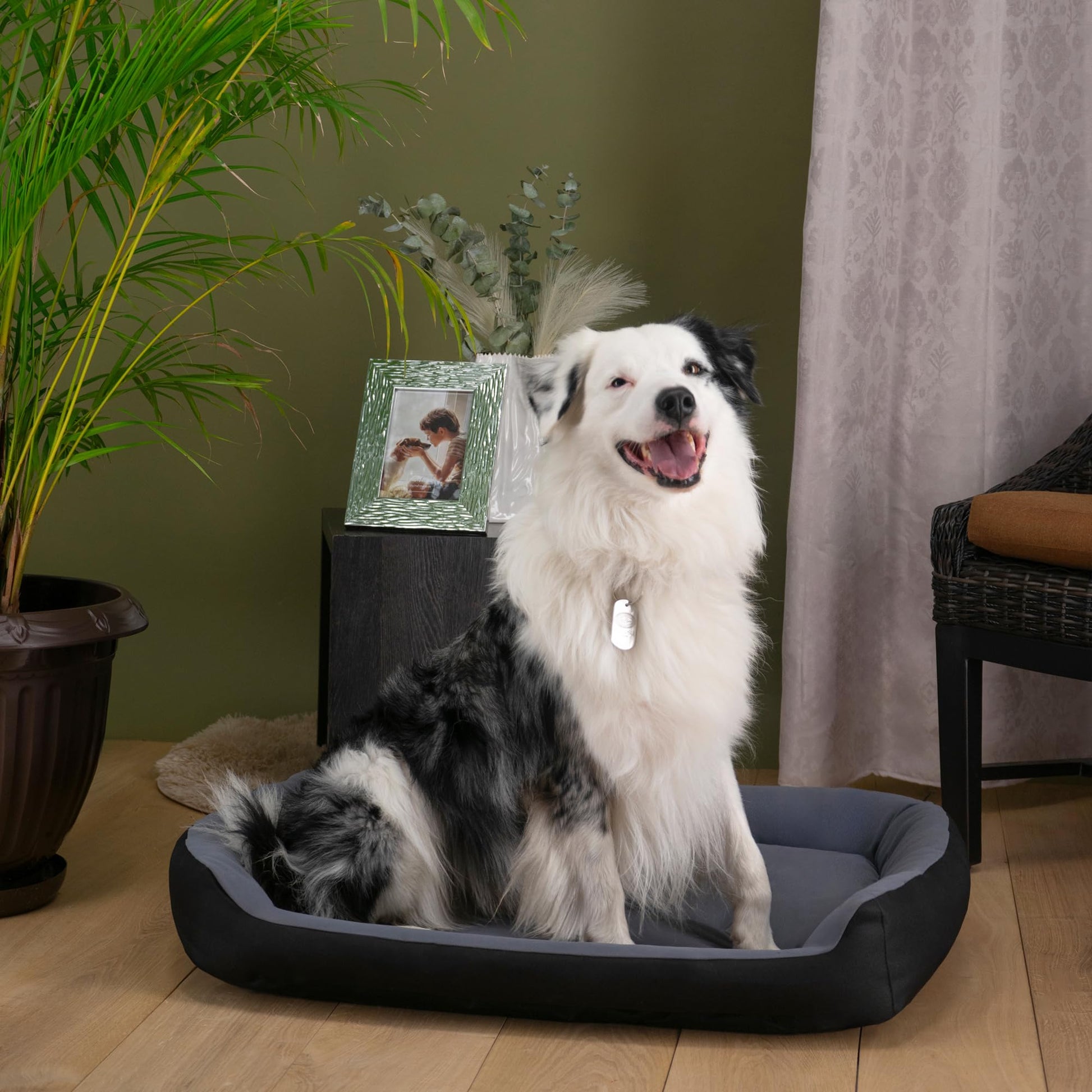 Cama para Perro PETS APPAREL HILLS Negra Gris Resistente y Confortable