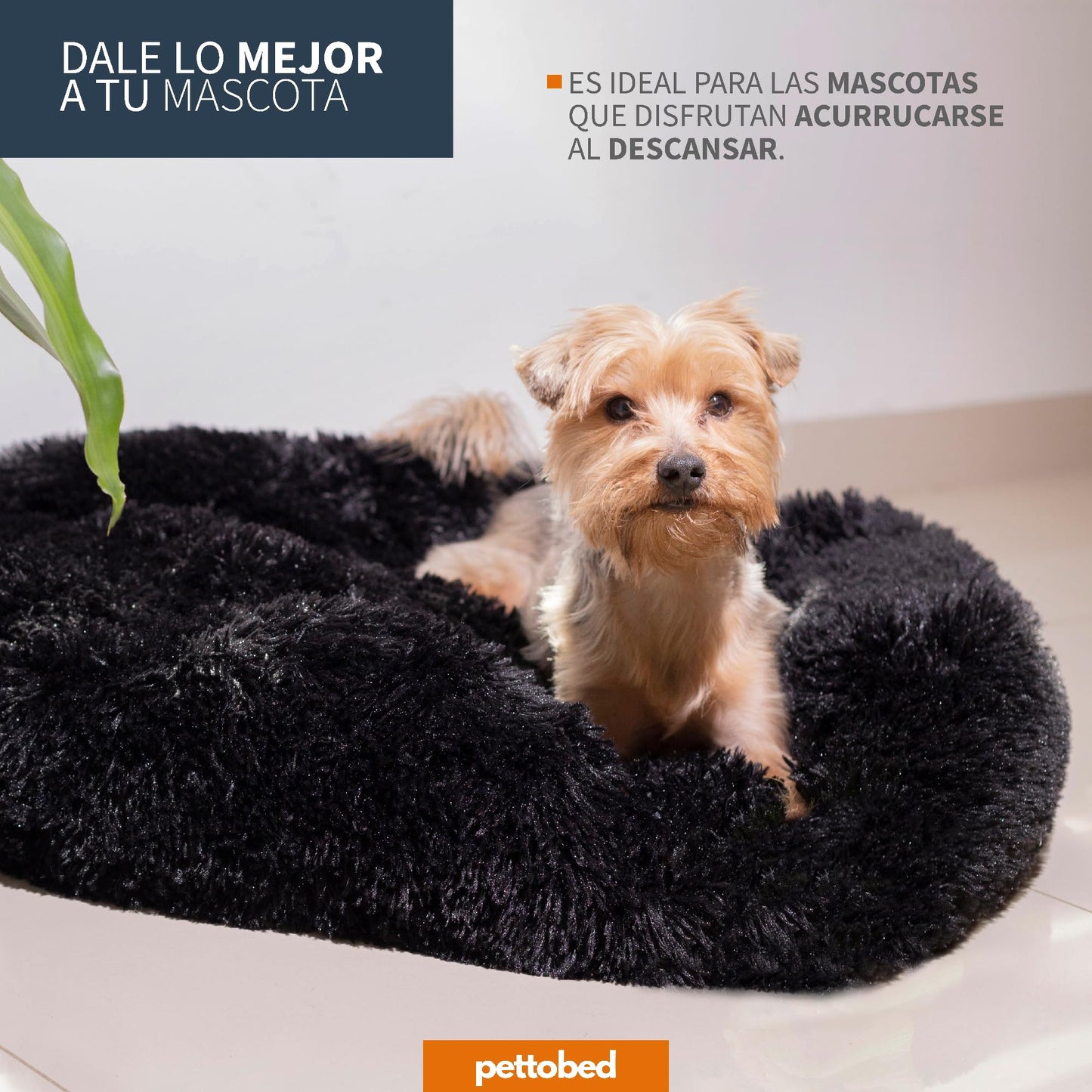 Cama Redonda Antiestrés para Mascotas PET TO BED Negra Pequeña Afelpada Esponjosa Cómoda