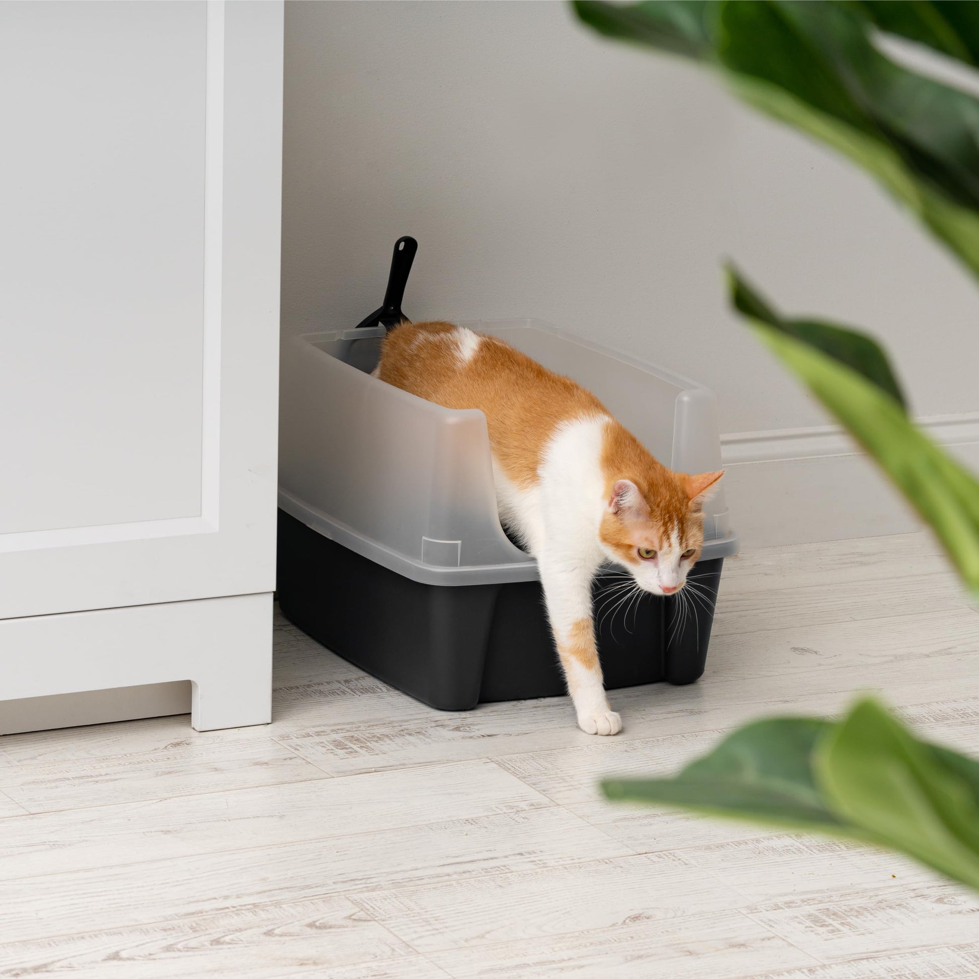 IRIS USA Caja de Arena para Gatos Grande con Escudo Anti-Salpicaduras y Paleta, Pan de Arena para Gatos de Bordes Altos y Abierto en la Parte Superior, Negro
