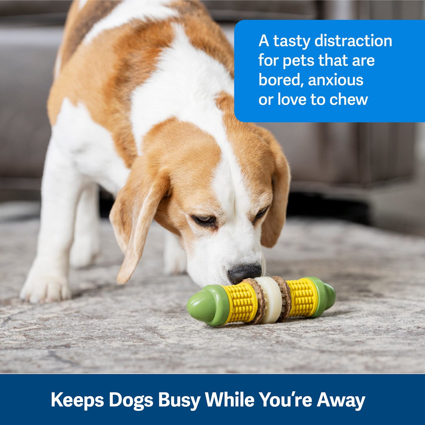 Juguete para Perros PetSafe Busy Buddy Cravin’ Corncob Mantequilla Rompecabezas Interactivo sin BPA