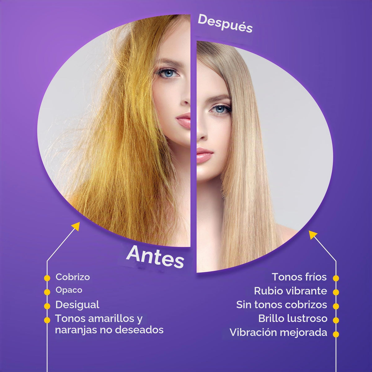 Set Shampoo y Acondicionador Morado Herbishh – Neutraliza Tonos Amarillos y Cobrizos | Para Cabello Rubio, Plateado y con Mechas | Hidratante y Nutritivo | Fórmula Vegana y Segura para el Color | 500 ml c/u