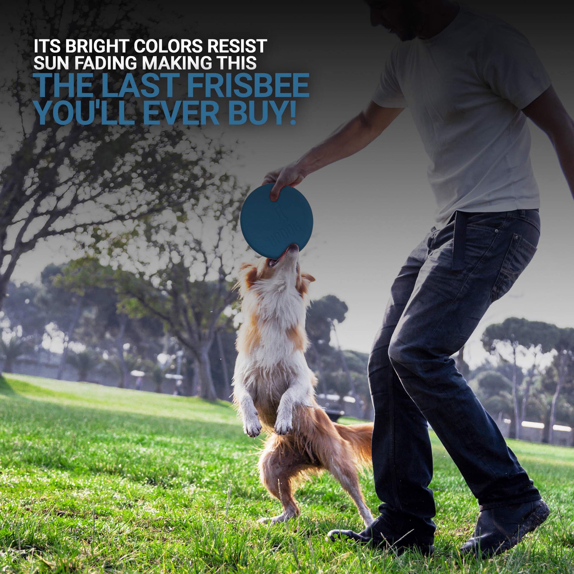 Frisbee para perros, fabricado en Estados Unidos, disco volador pequeño de 15,2 cm para perros (azul)