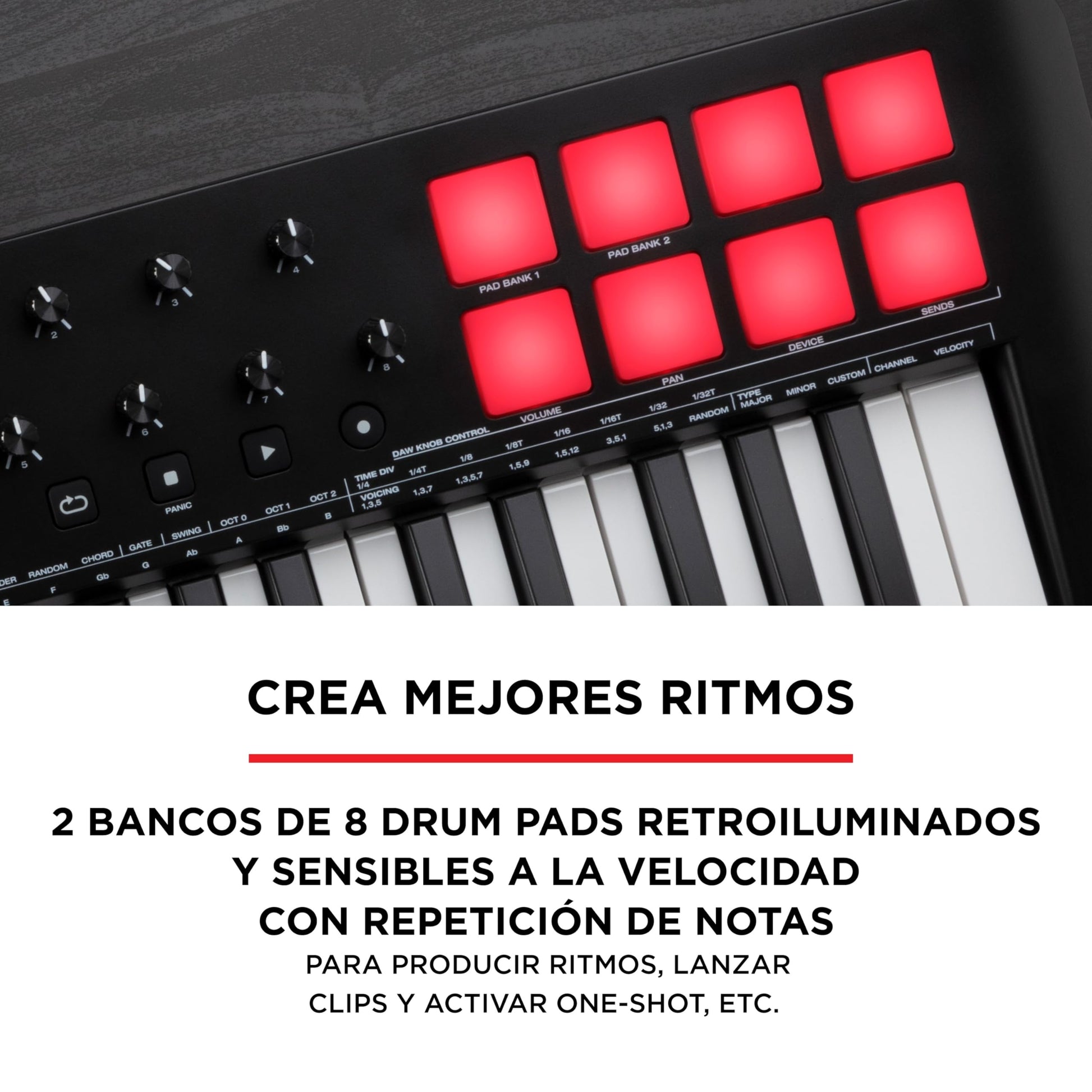 M-Audio Oxygen 25 V - Teclado controlador MIDI USB de 25 teclas con Beat Pads, modos Smart Chord y Scale, arpegiador y suite de software incluidos