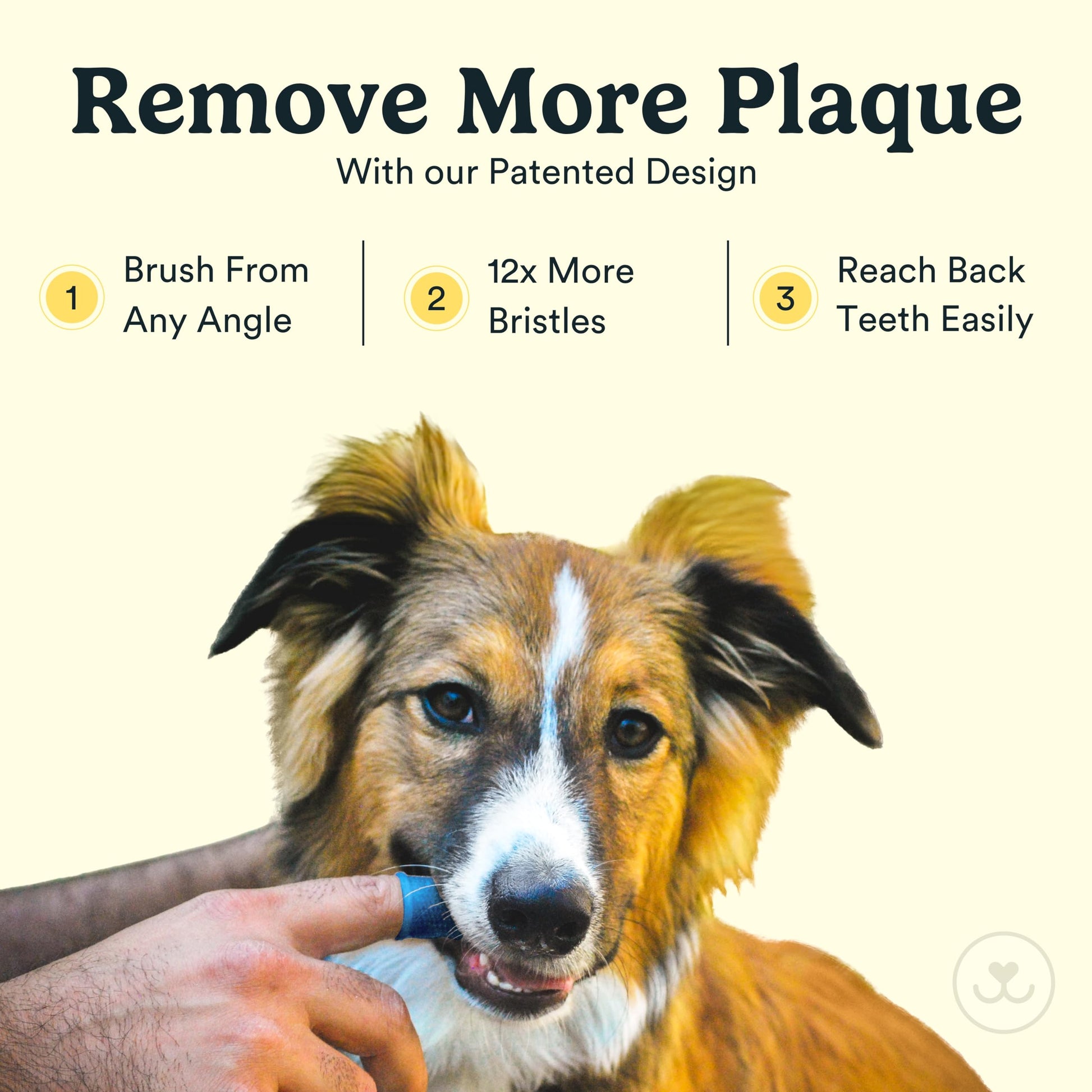 Cepillo de dientes de perro Barkley's 360º – Diseño ergonómico – Cerdas envolventes completas para una fácil limpieza – Juego de 2 unidades, transparente