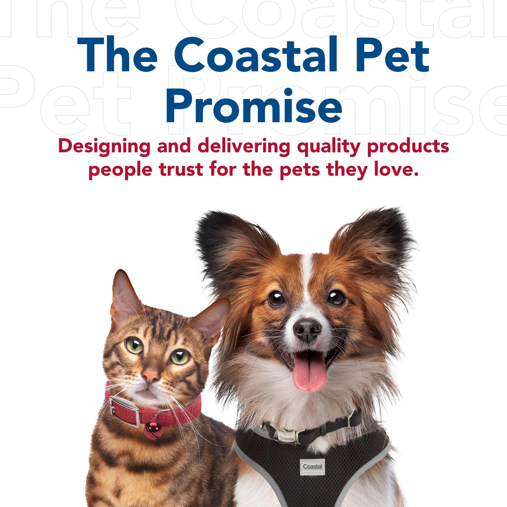 Coastal Pet Safari - Cepillo flexible para perros – Cepillo para perros para desprendimiento, rastrillo de capa inferior y cepillo de aseo para perros pequeños y medianos, pequeño