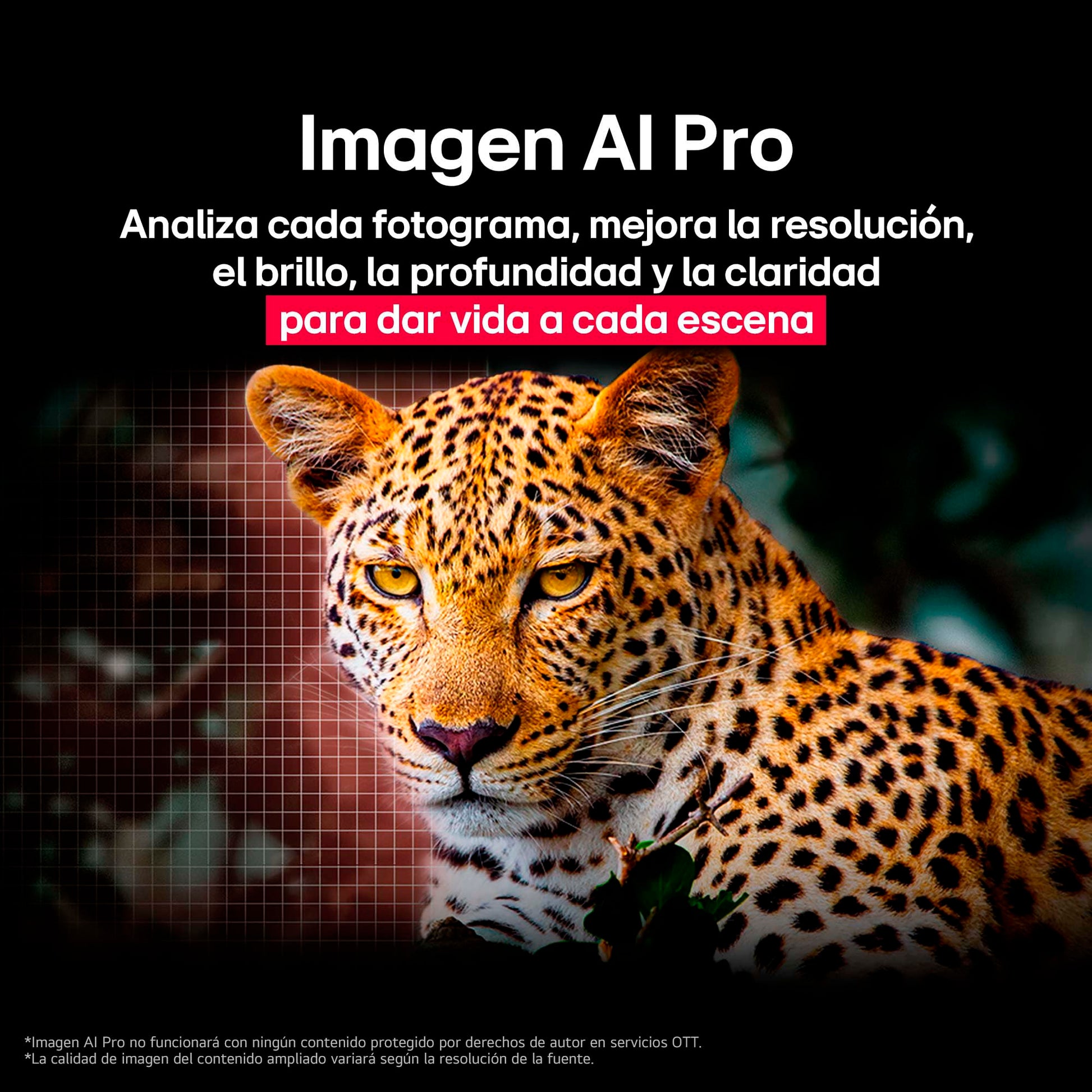 LG Pantalla 55 Pulgadas OLED EVO AI G5 4K Smart TV webOS 2025 OLED55G5PSA|Sistema Operativo webOS | Identificación de Voz AI | 120Hz | Dolby Atmos & Dolby Vision Channels | G-Sync & FreeSync
