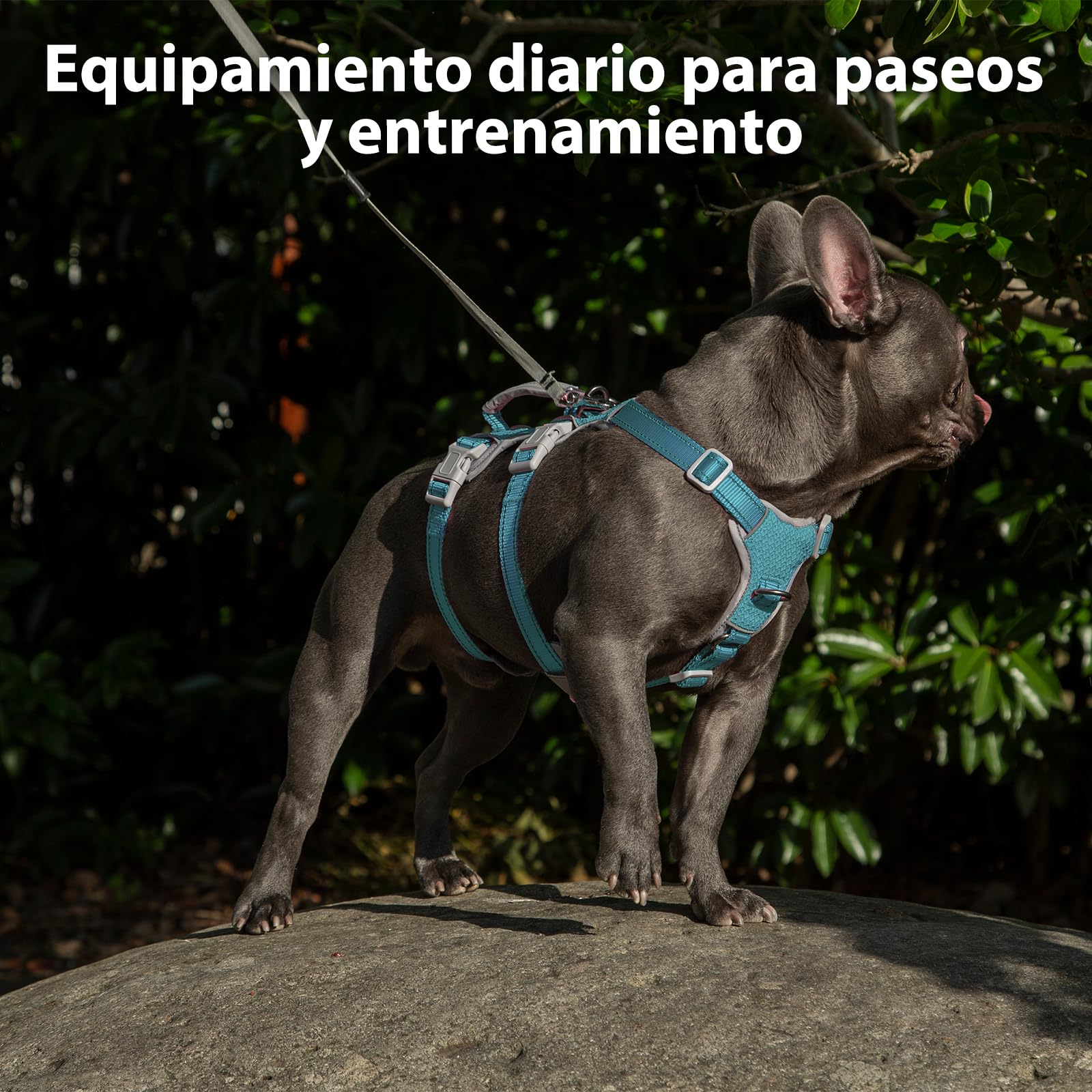 Arnés para perros No Escape, arnés a prueba de escapes,arnés totalmente reflectante con asa acolchada,transpirable, chaleco ajustable para perros medianos de paseo, adiestramiento y carrera(Azul,M)