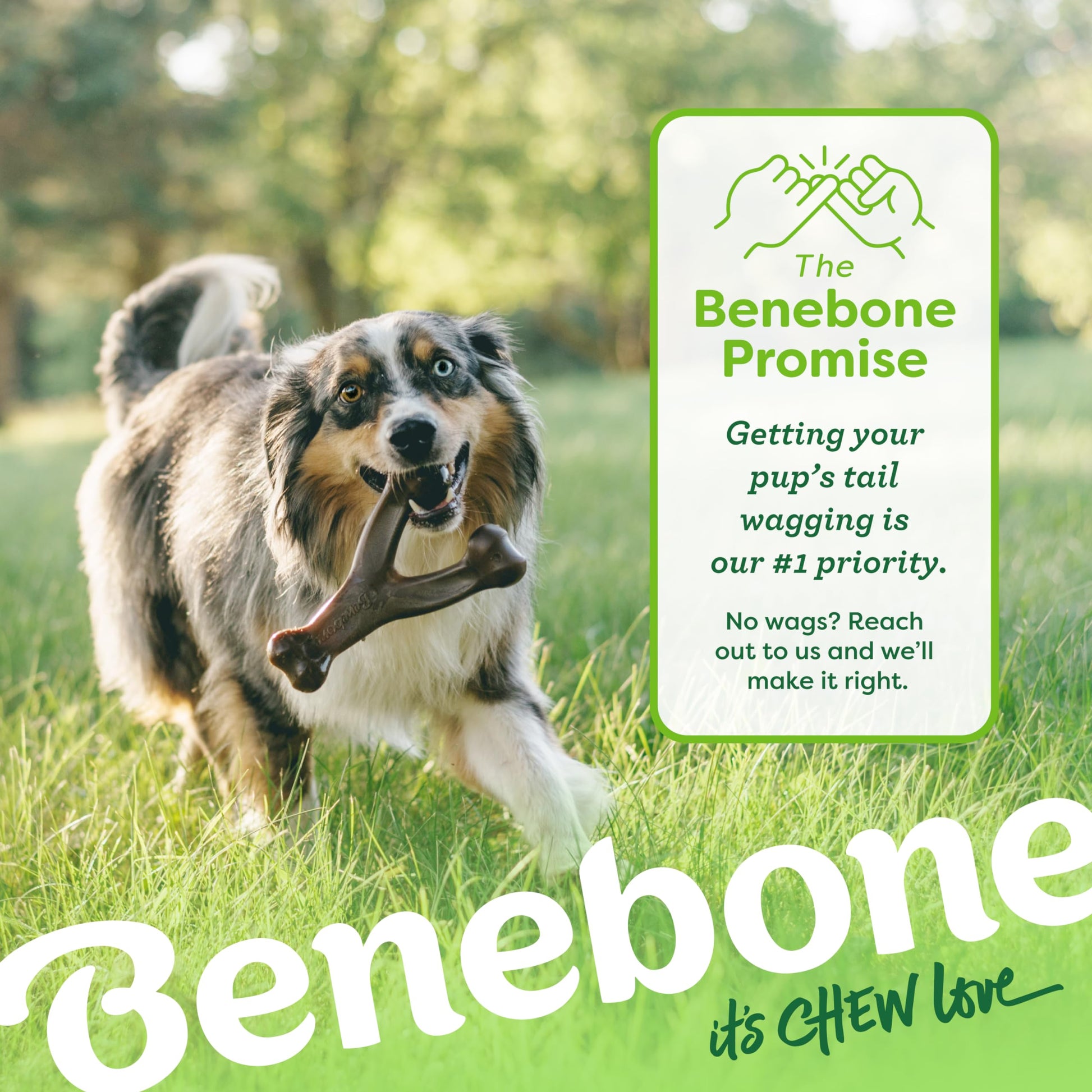 Benebone Real Flavor Wishbone Chew Toy, Made in USA, Large, Real Chicken Flavor