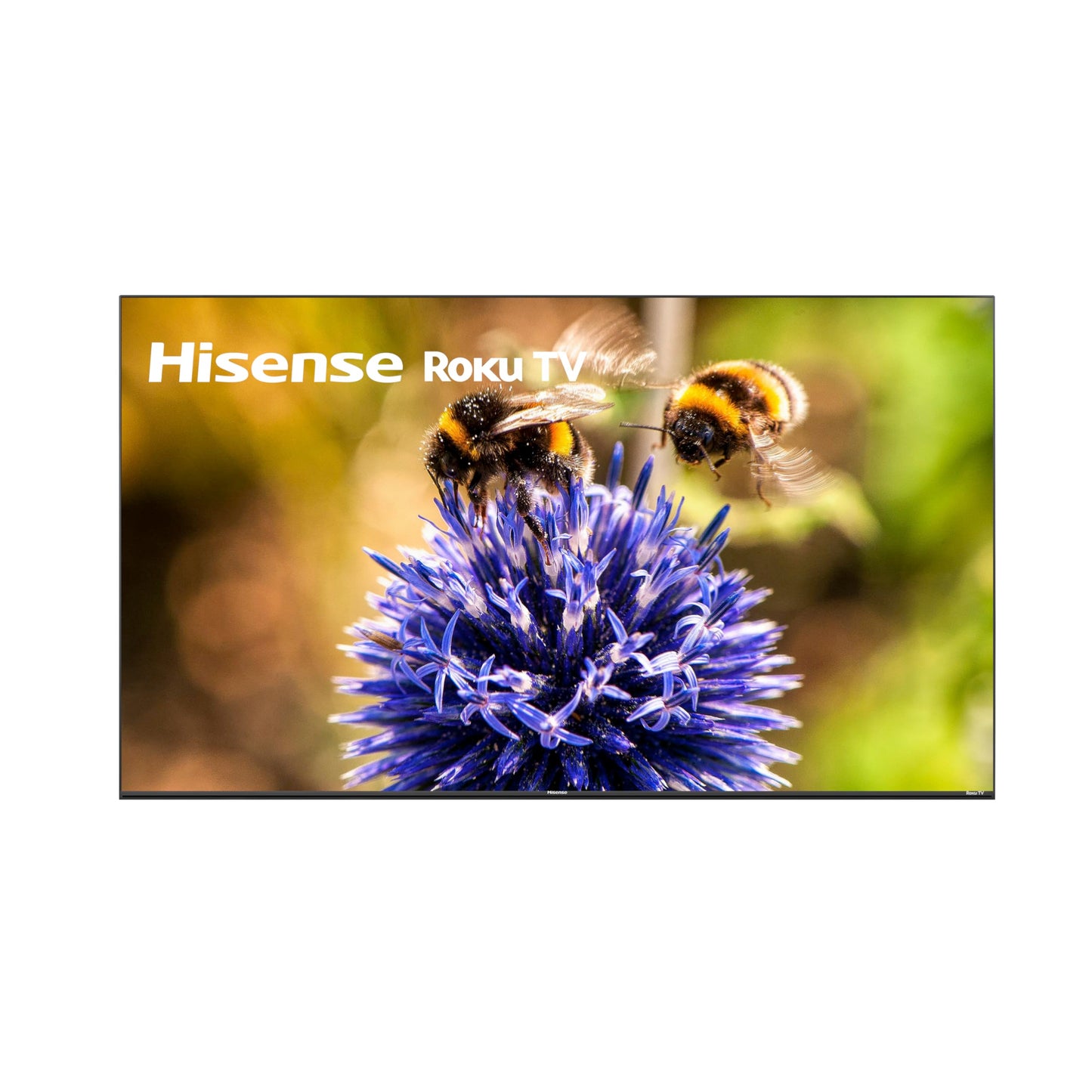 Hisense Smart TV 58 Pulgadas Class 4K UHD LED LCD Roku TV HDR R6 Series 58R6E3 (Sin Bases para Mesa) Mas Soporte de Pared