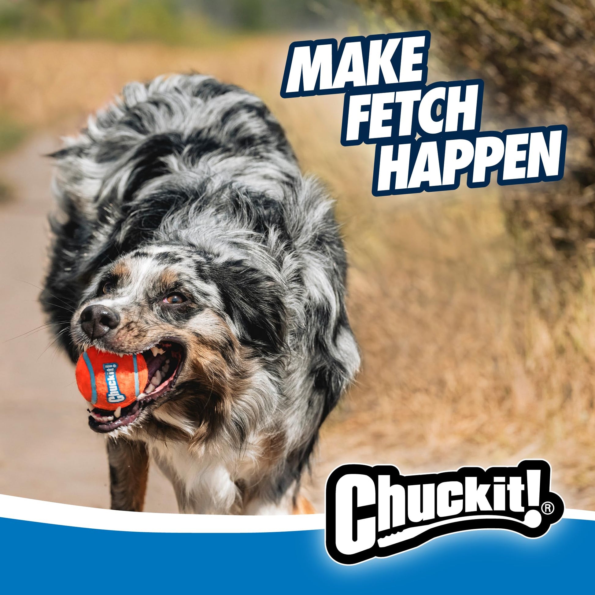 Chuckit! Sport Launcher (Colors Vary)