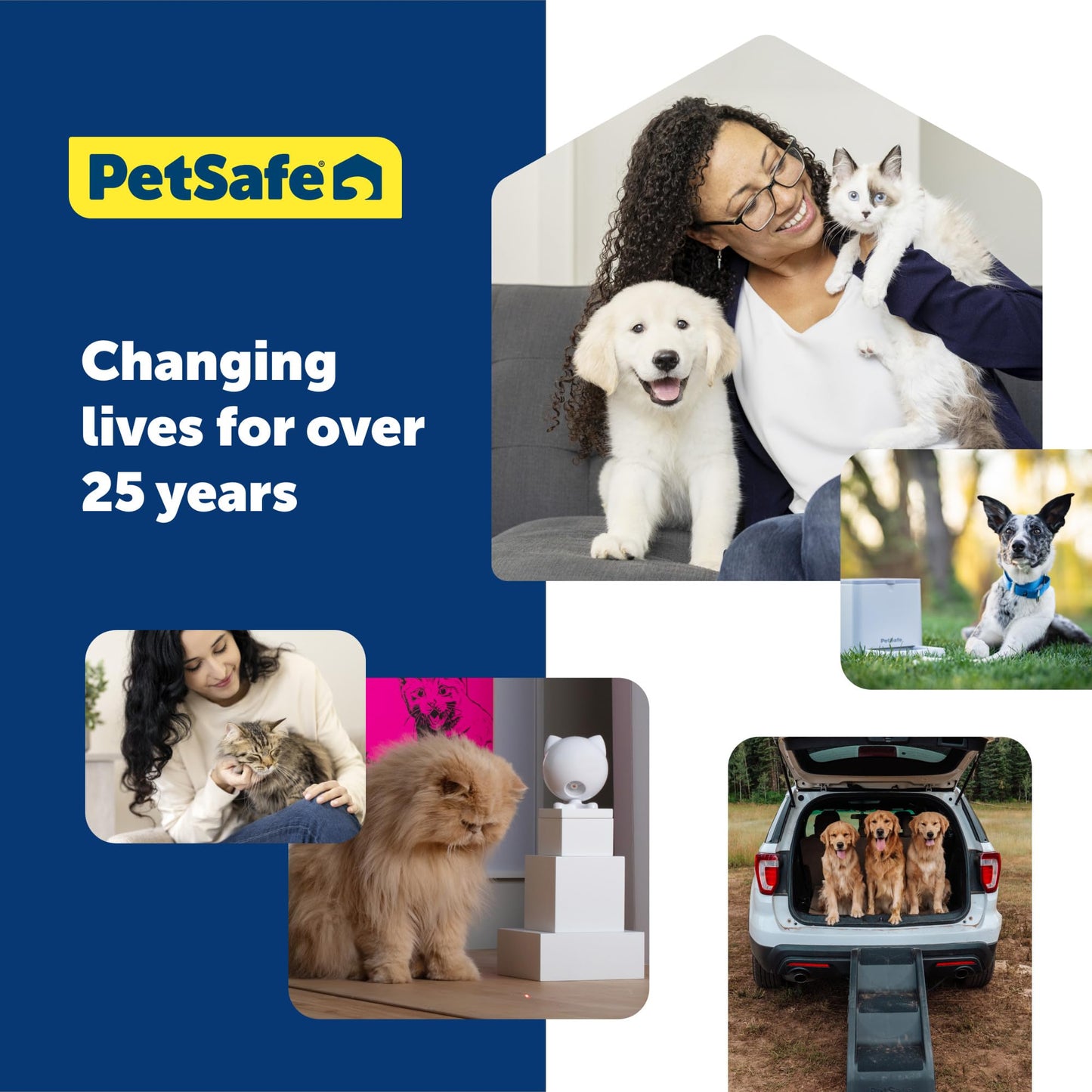 Dispensador Interactivo PetSafe Azules y Morados para Gatos