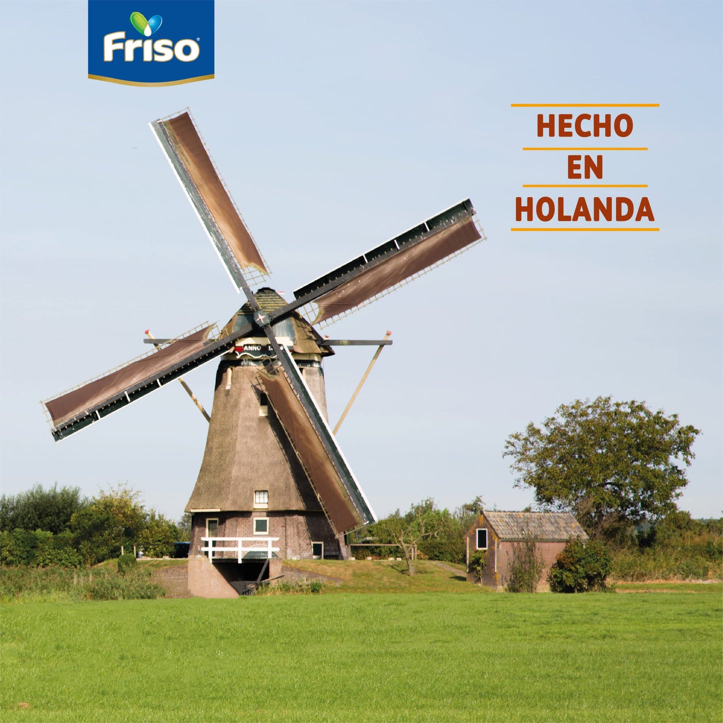 Frisolac Gold Intensive H A (0 A 12 Meses) Lata Con 400 Gr