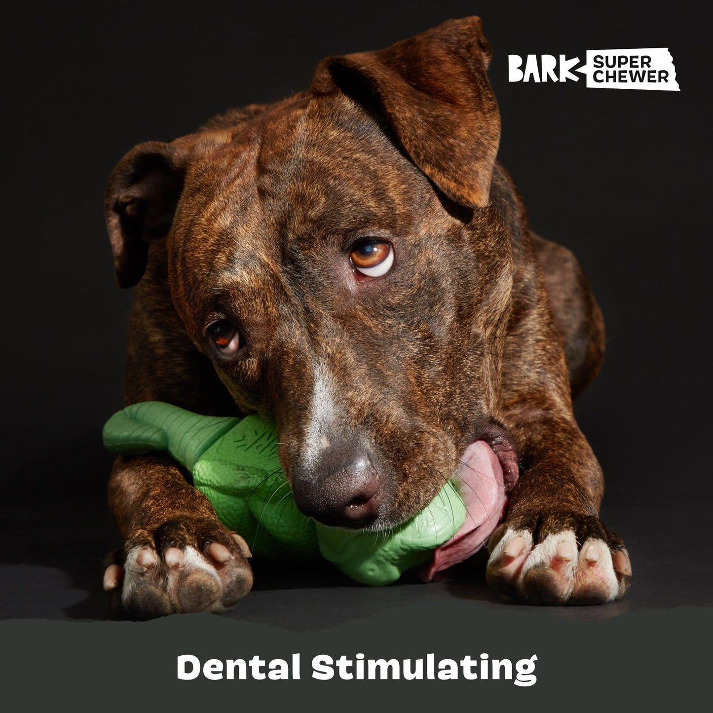 BarkBox Juguetes para perros duros y masticables para masticadores agresivos, goma duradera y nailon, dispensación de golosinas, bolas y juguetes de dentición para perros y cachorros pequeños, medianos y grandes, Ilana The Iguana