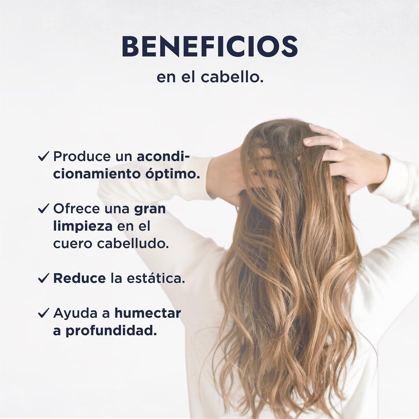 HEBBE Betaína de Coco 1 kg | Tensoactivo Anfótero Suave | Agente Espumante | Reduce Irritación | Soluble en Agua y Etanol | pH 5-8
