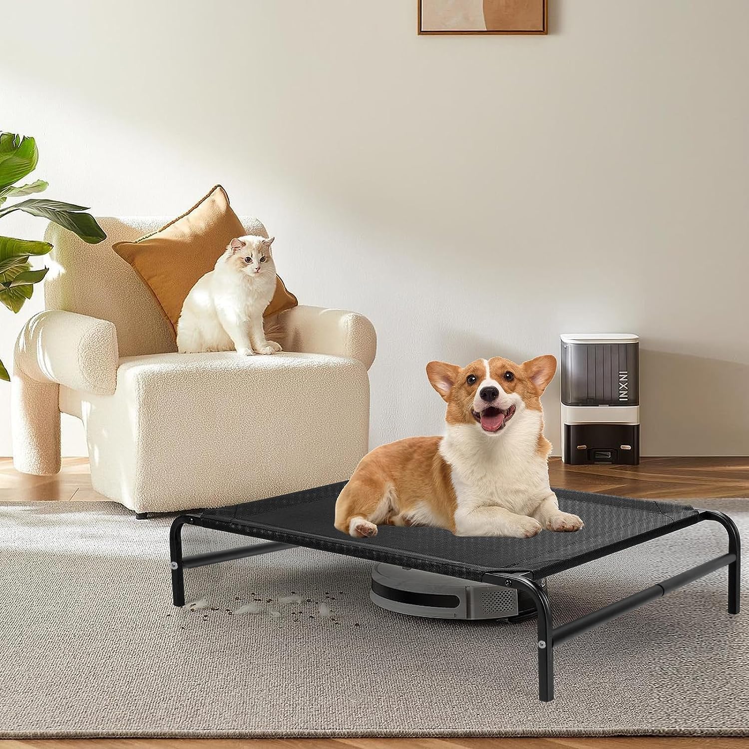 Cama para Perro, Cama Elevada para Perro con Malla Transpirable y Lavable, Portátil Camas para Perros Extra Grande Para Uso Interior y Exterior, Apto para Todo Tipo de Mascotas, Antideslizante (L)