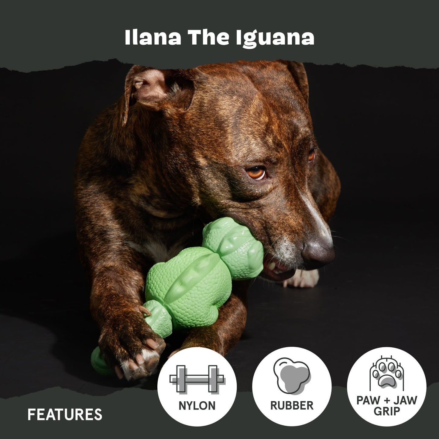 BarkBox Juguetes para perros duros y masticables para masticadores agresivos, goma duradera y nailon, dispensación de golosinas, bolas y juguetes de dentición para perros y cachorros pequeños, medianos y grandes, Ilana The Iguana