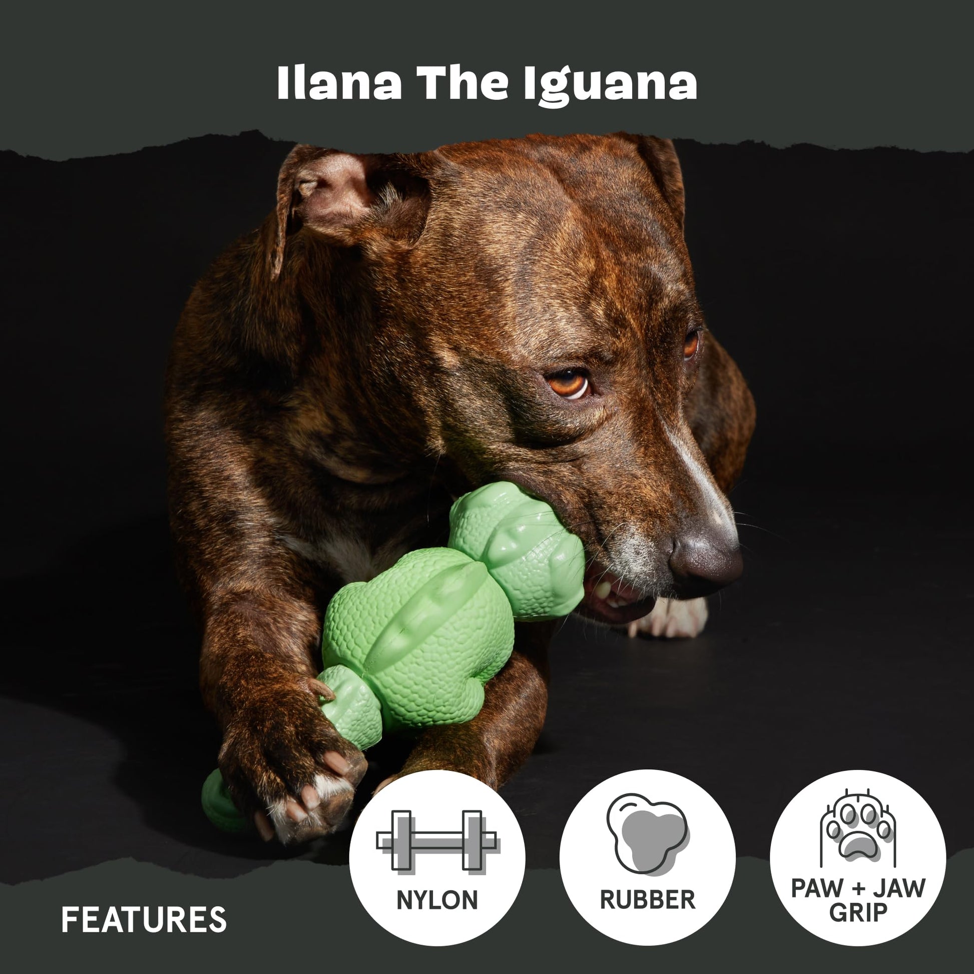BarkBox Juguetes para perros duros y masticables para masticadores agresivos, goma duradera y nailon, dispensación de golosinas, bolas y juguetes de dentición para perros y cachorros pequeños, medianos y grandes, Ilana The Iguana