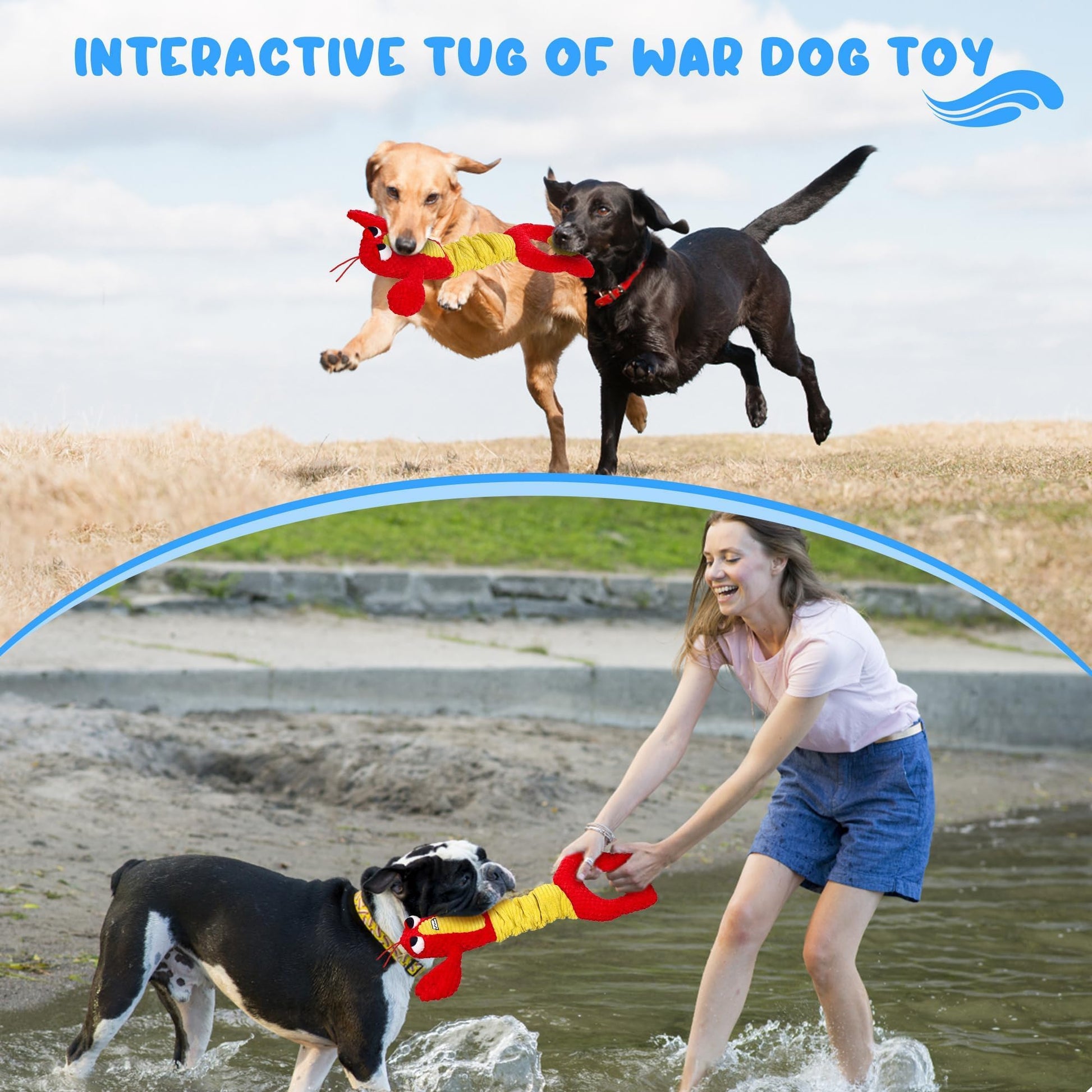 IOKHEIRA Juguetes para Perros para Masticadores Agresivos, Juguetes para Perros Grandes, Resistentes Y Duraderos, Indestructibles, Juguetes para Masticar Perros Grandes Y Razas Grandes