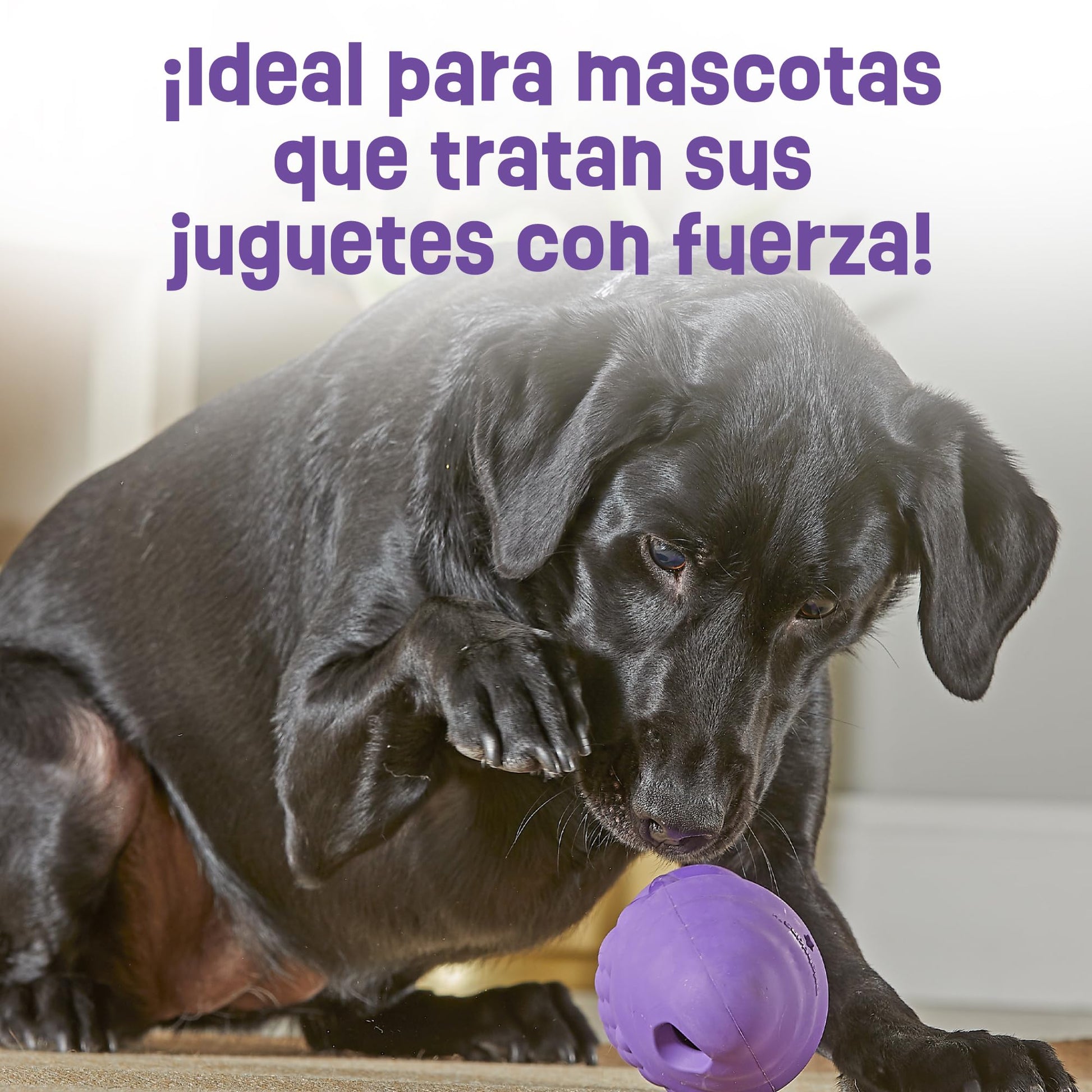 Brightkins Tough & Tumble Treat Dispenser Large GNOME - Juguetes para Perros sin BPA, Dispensador de Treats para Perros, Juguetes para Perros Ansiosos