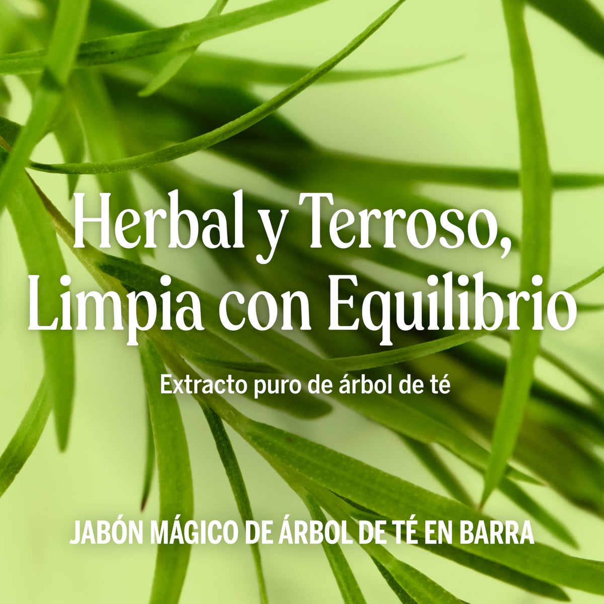 Dr. Bronner's | Jabón de castilla orgánico en barra, fórmula concentrada, purificación natural y efecto antiséptico, con aceite esencial de Árbol de Té, aroma Árbol de Té (3 pack)