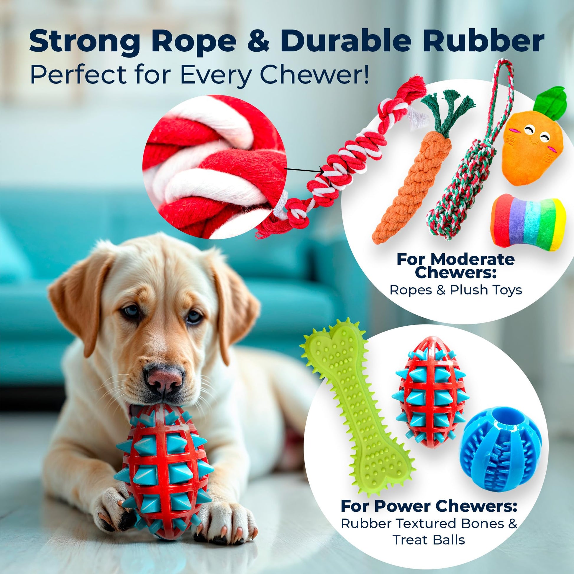 Juego de Juguetes para Perros Pacific Pups Multicolor 18 Piezas