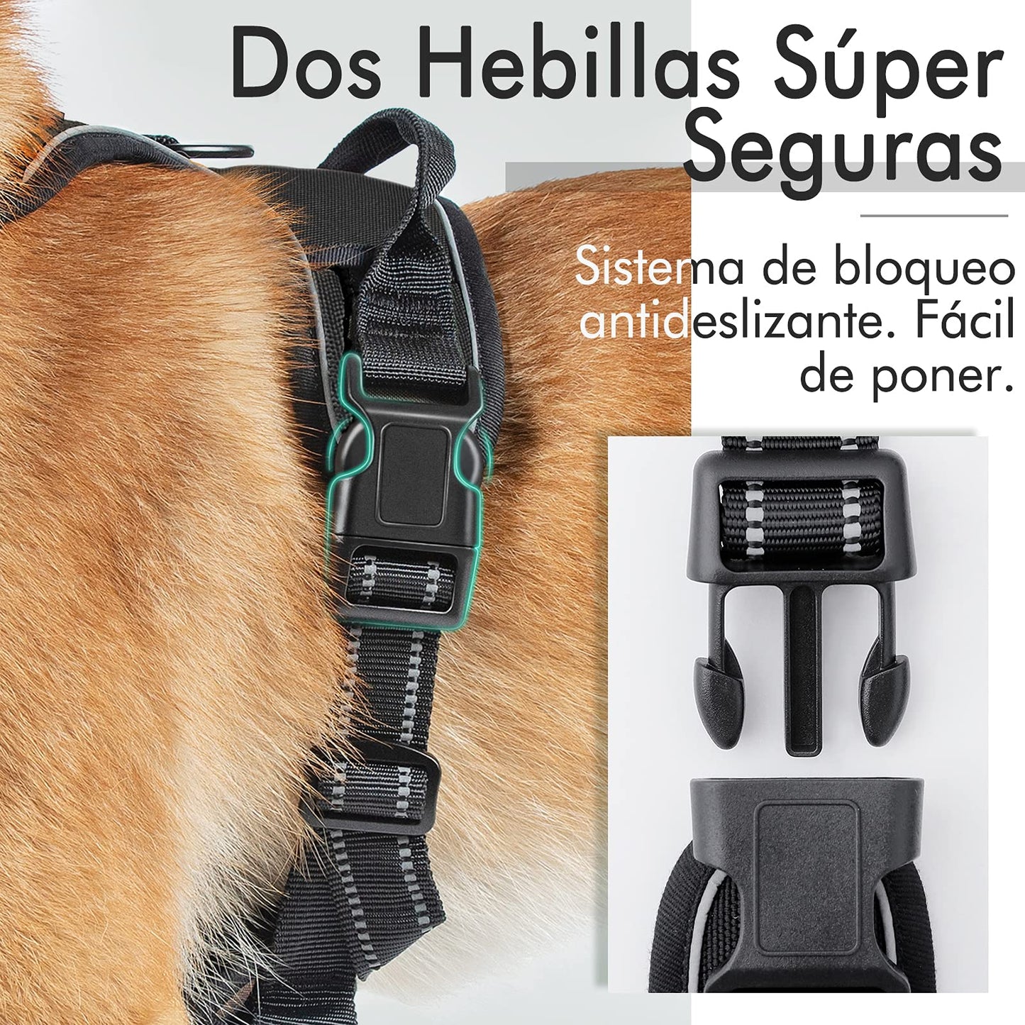Arnés para Perro Rabbitgoo Negro XL con Líneas Reflectantes y Chaleco Acolchado Ajustable