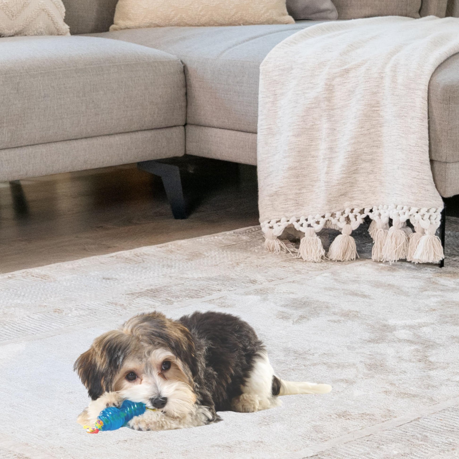 Juguetes Masticables Petstages Mini Orka Azul Paquete de Hueso y Mancuernas para Perros