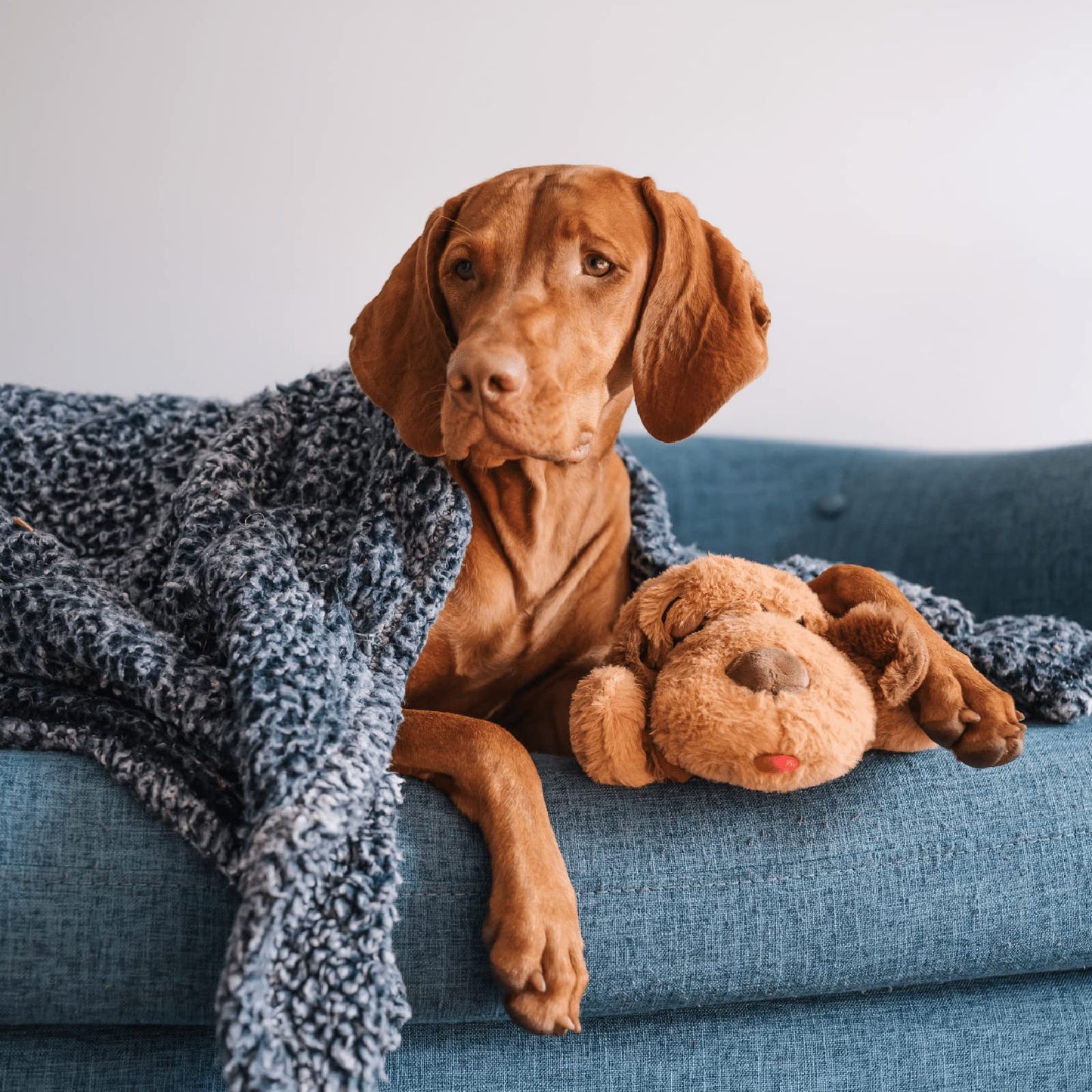 Juguete Interactivo SmartPetLove Biscuit para Ansiedad de Mascotas