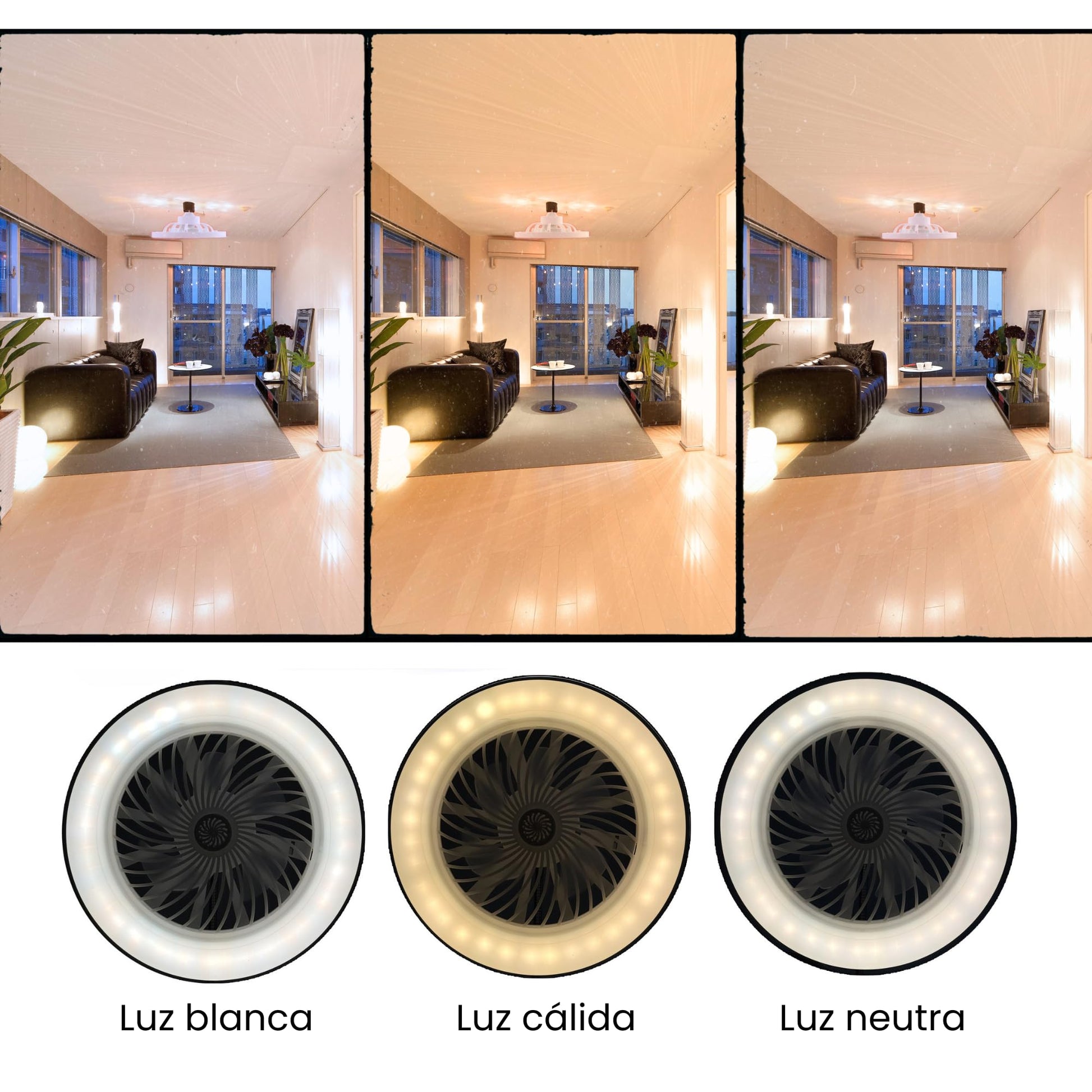 Begonia Ventilador de Techo con Luz LED de Tres Tonalidades - Control Remoto Inteligente con Temporizador - 30W - 25.5 X 13cm