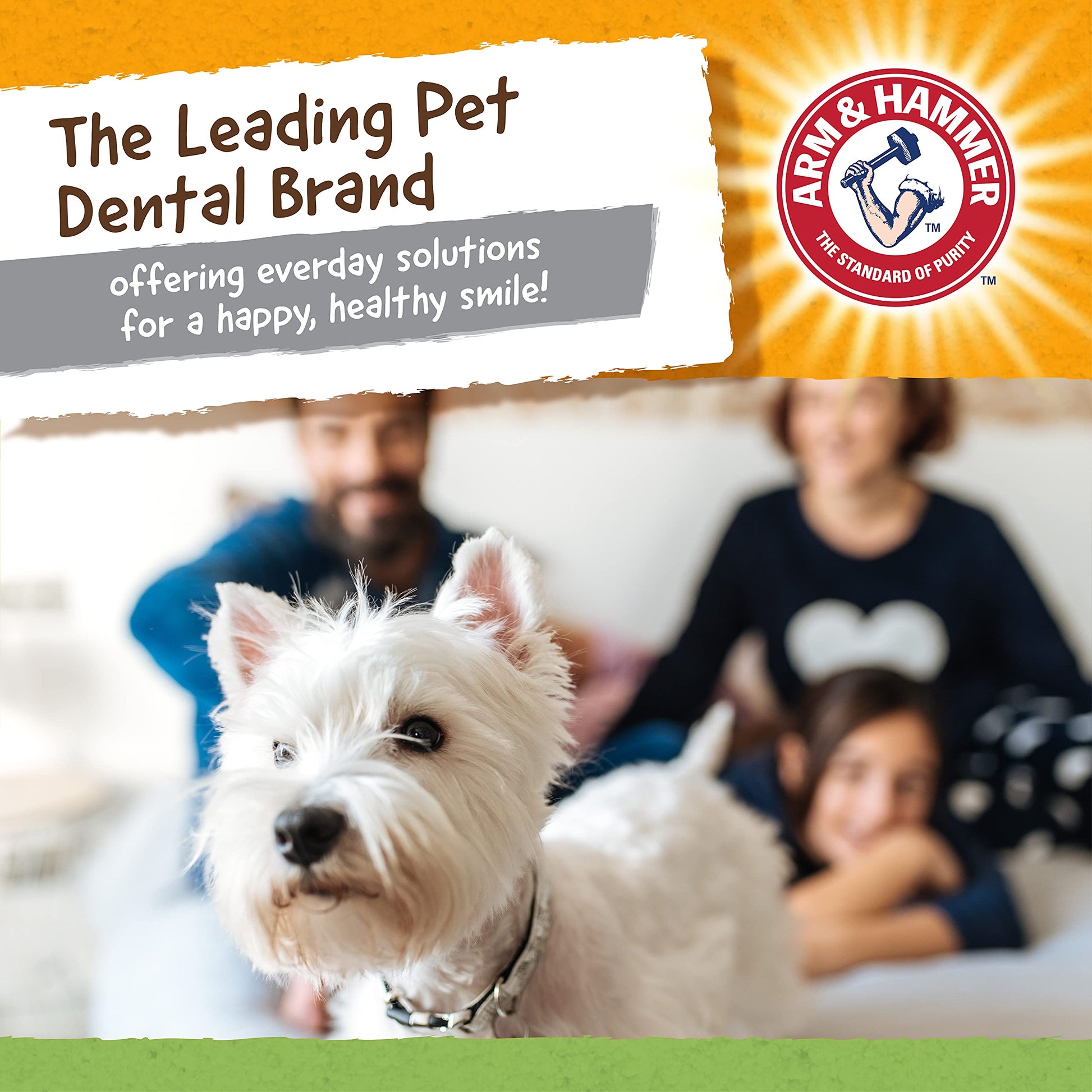 Arm & Hammer, Juguete para Perro Mini Cocodrilo de 5.2"