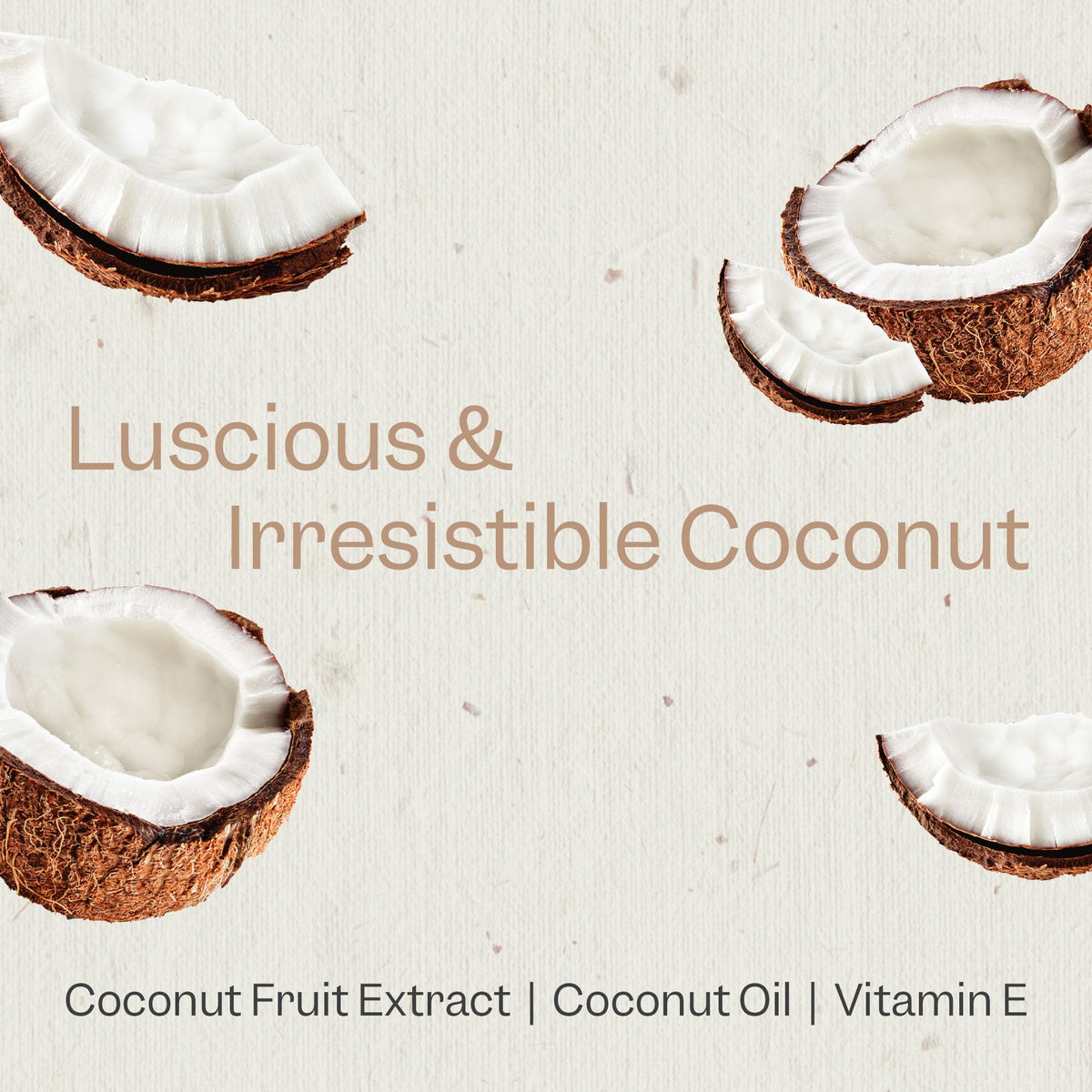 RENPURE Acondicionador profundo de coco y vitamina E a base de plantas para cabello seco y dañado, sin sulfatos, sin parabenos y seguro de color - Acondicionador hidratante de coco natural