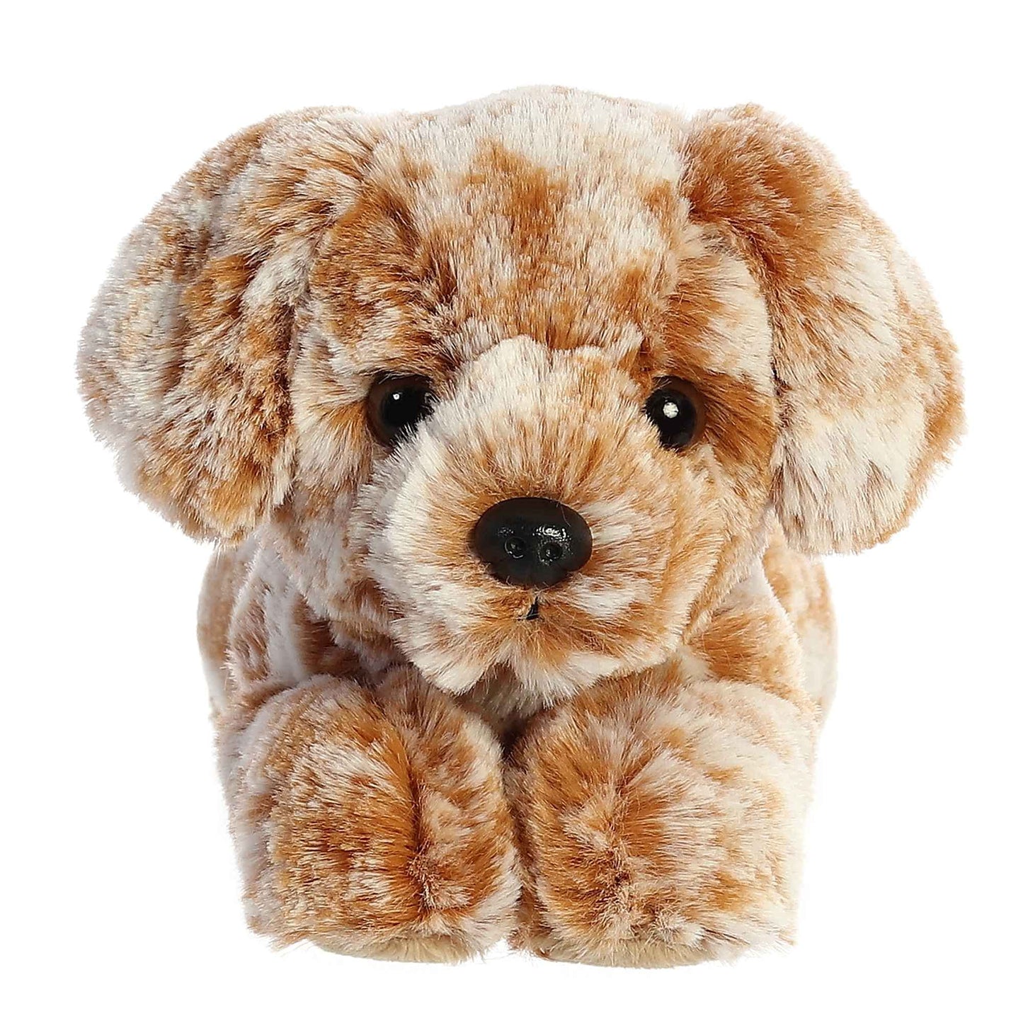Peluche Aurora Coco Lab Negro Compacto 20.32cm