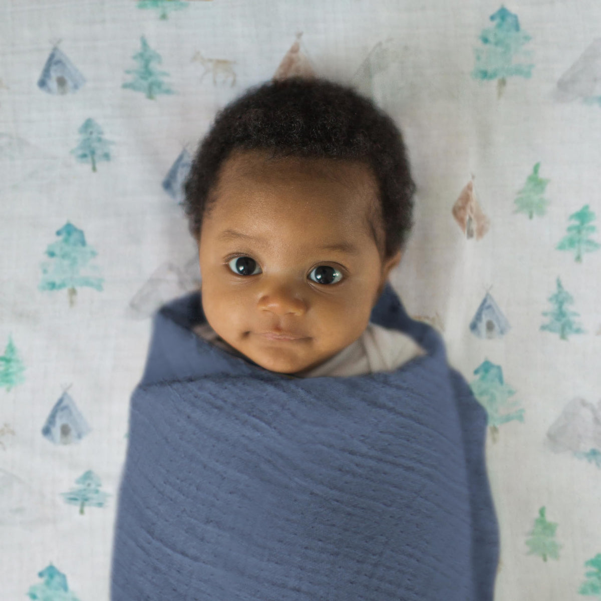 SwaddleDesigns - Juego de 4 Mantas de Muselina de algodón, Manta receptora para niños y niñas recién Nacidos, Registro de bebé y Regalo, 46 x 46 Pulgadas, Acuarelas montañas y árboles