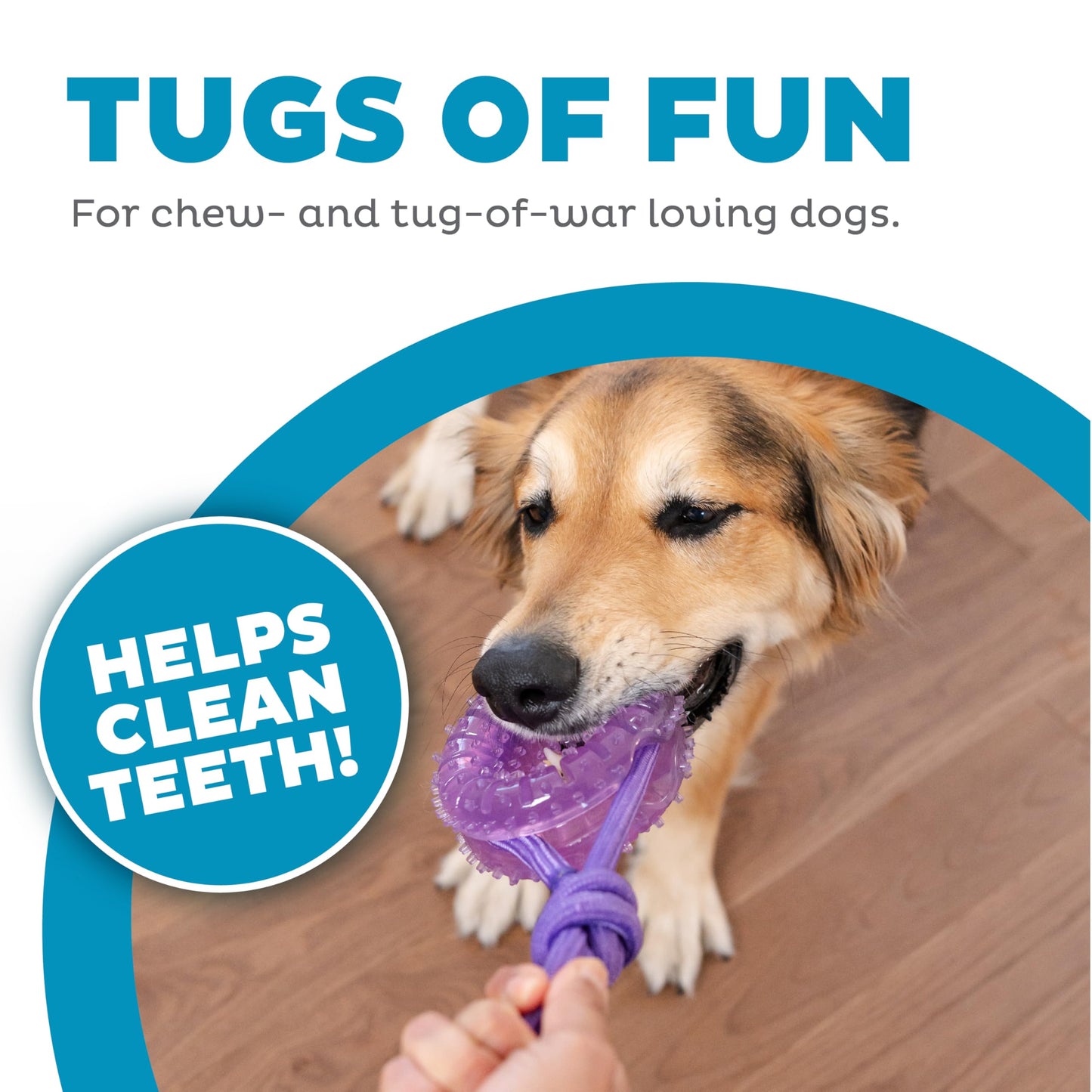 Juguete Dental y Tirador Outward Hound Morado para Perro