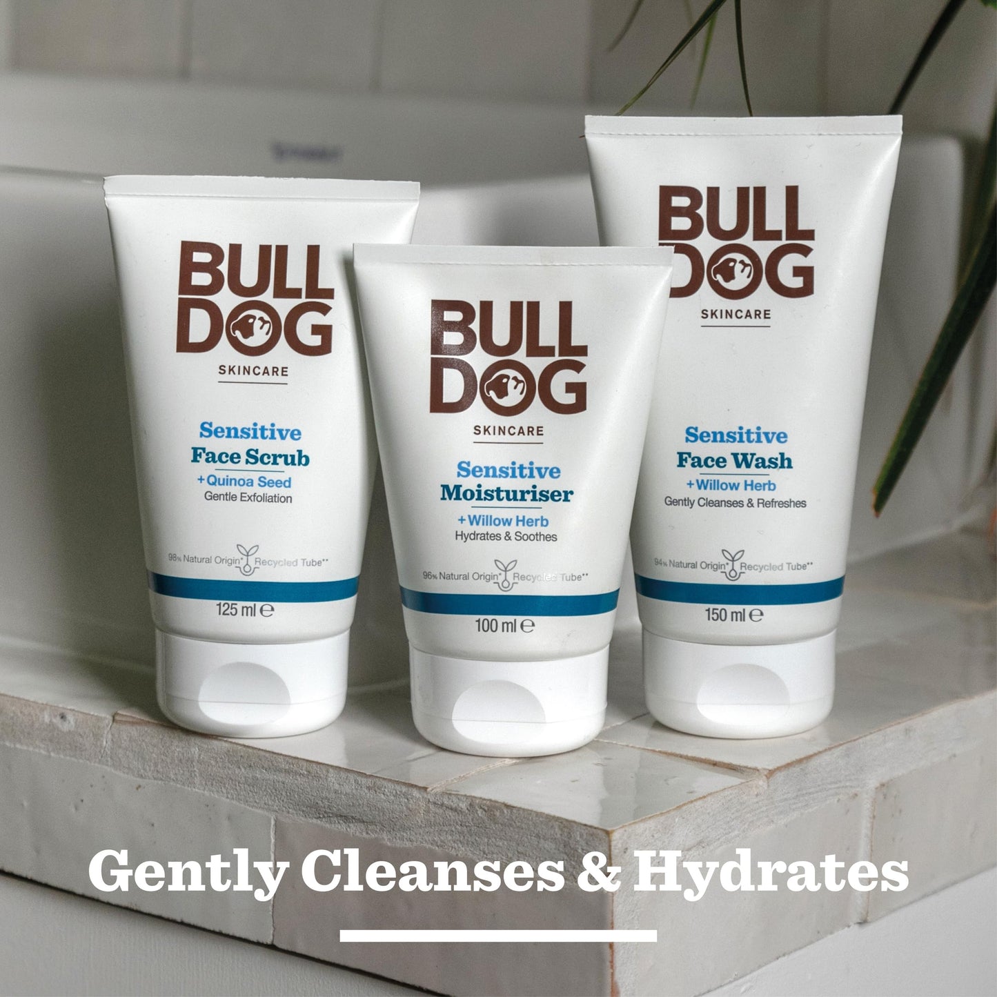 MEET THE BULL DOG Sensitive Moisturiser, 3.3 Fluid Ounce by MEET THE BULL DOG