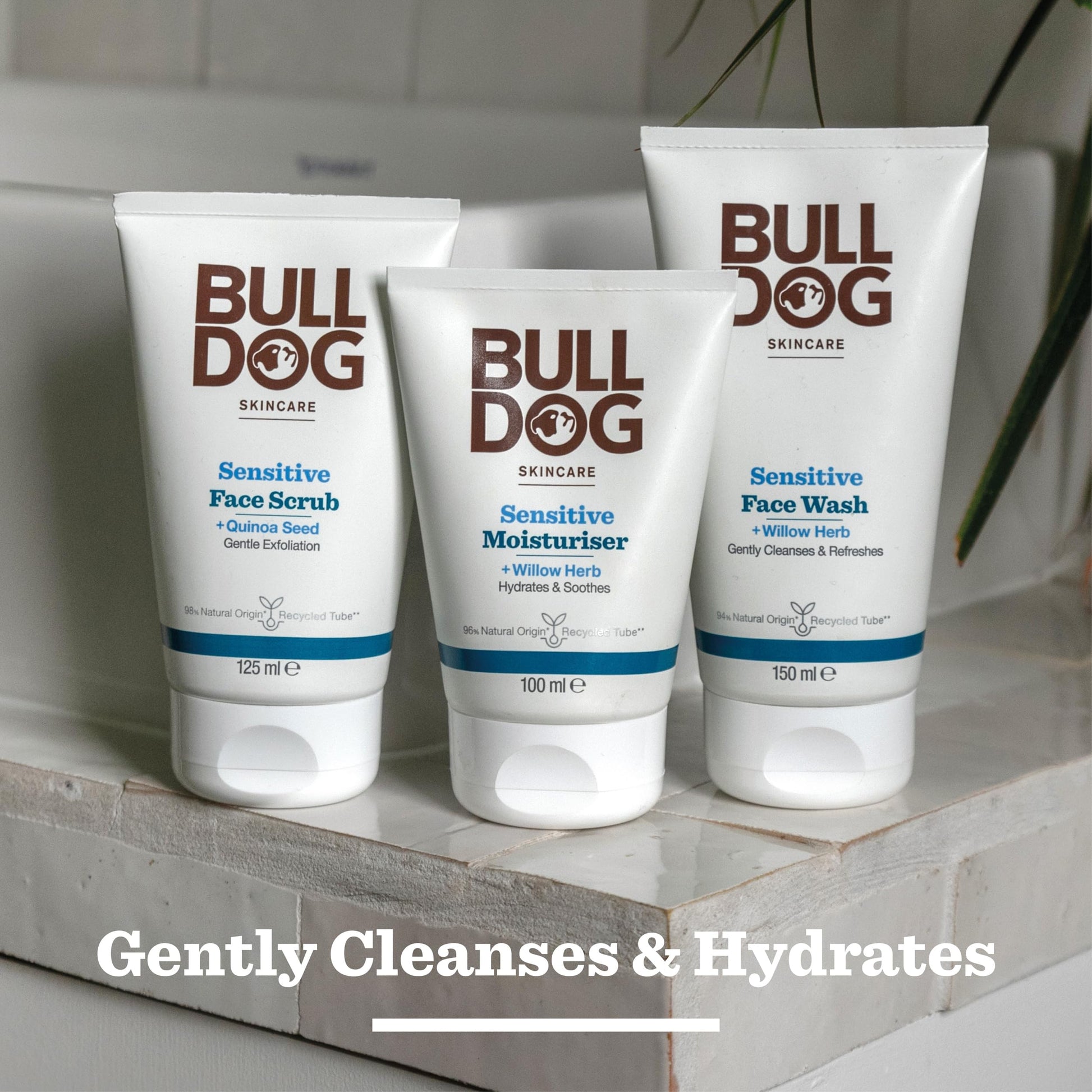 MEET THE BULL DOG Sensitive Moisturiser, 3.3 Fluid Ounce by MEET THE BULL DOG
