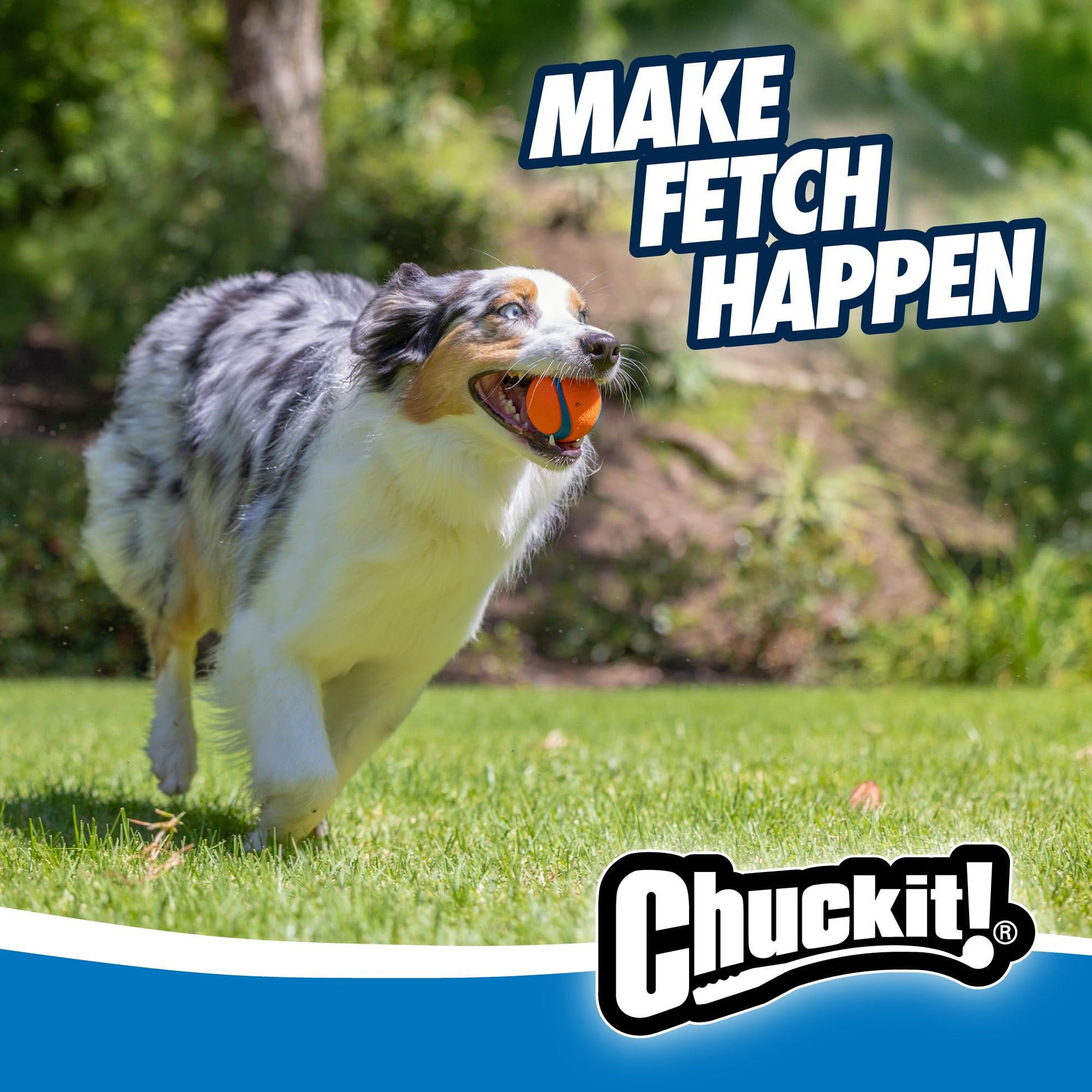 Chuckit! - jueguete mascota Ultra Ball, anaranjado, mediana, 2.5 pulgadas, paquete de 1