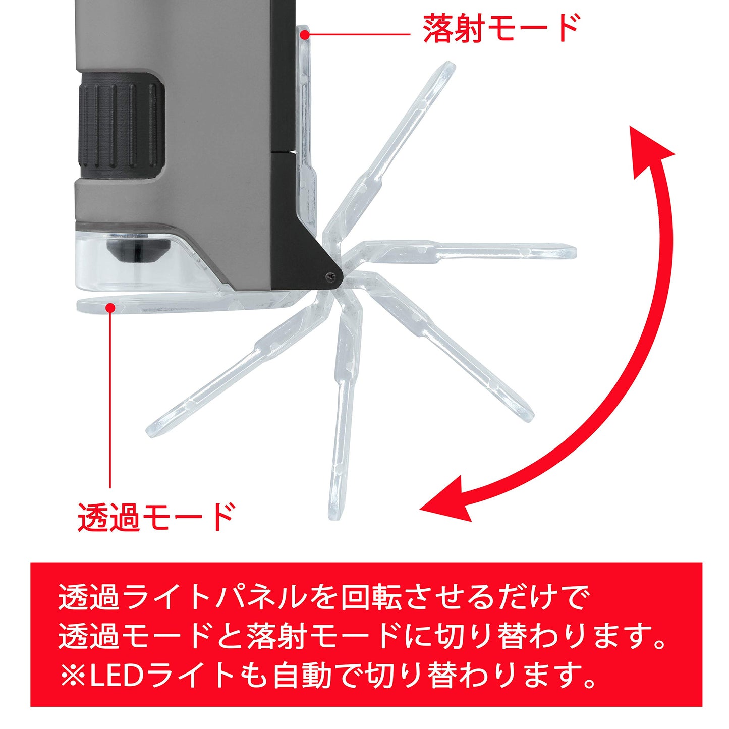 Microscopio Raymay Fujii DX gris práctico