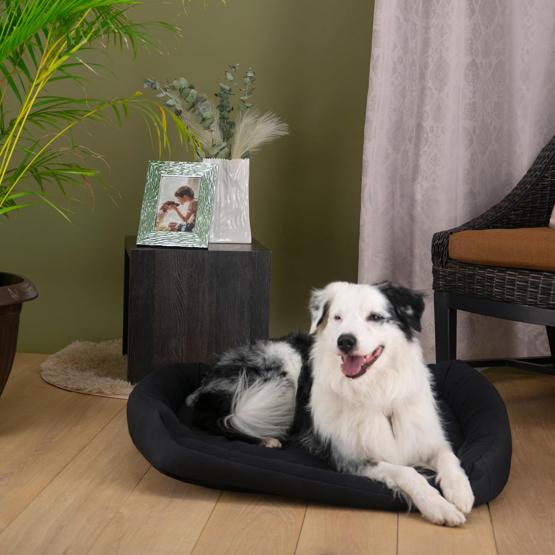 Cama para Perro HILLS Negra Resistente y Confortable