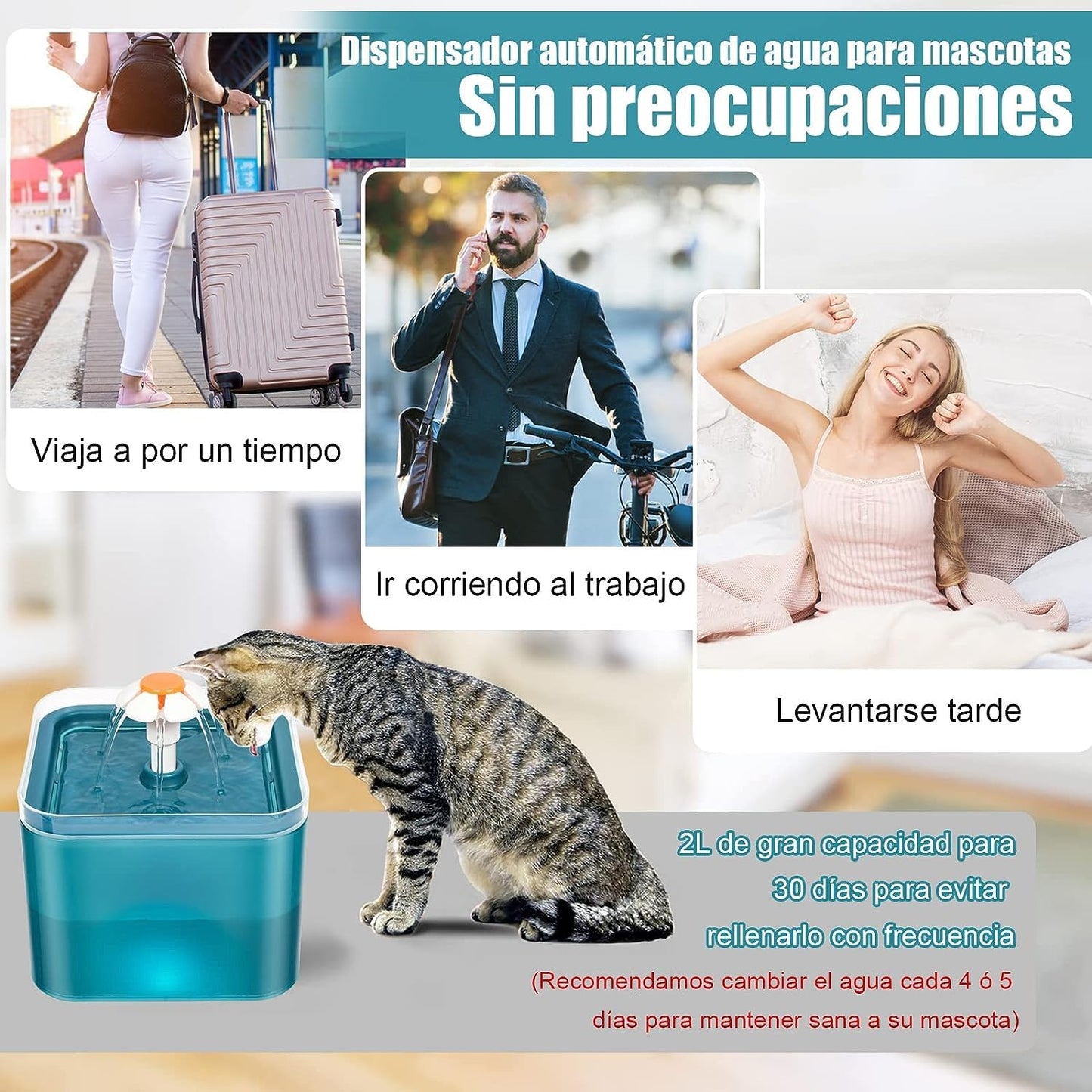 Bebedero para Gatos, 2L Fuente para Gato Y Perro con Filtro, Fuente Silencioso para Mascotas, con LUZ en Noche, para Gatos, Perros y Múltiples Mascotas