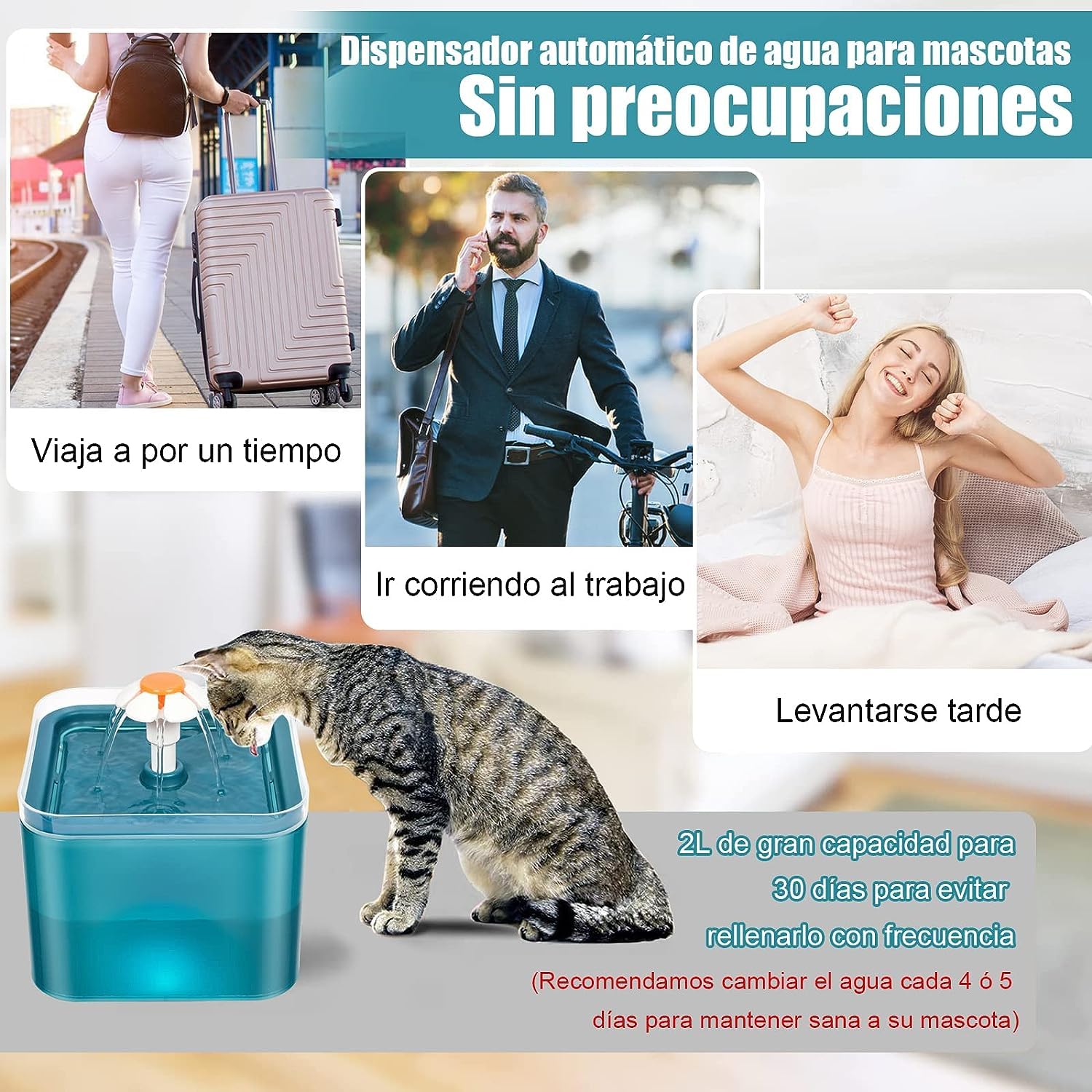 Bebedero para Gatos, 2L Fuente para Gato Y Perro con Filtro, Fuente Silencioso para Mascotas, con LUZ en Noche, para Gatos, Perros y Múltiples Mascotas
